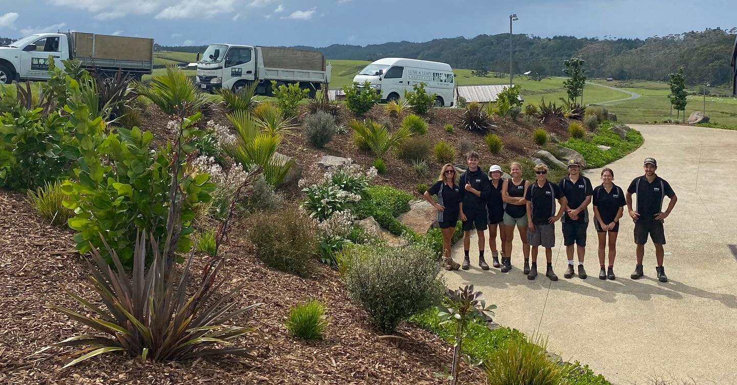 As the year is coming to an end, I thought it would be a good time to show everyone how awesome my team is 💚

Featuring a garden we planted two years ago from barren clay. Vehicles looking 🔥🌿✌️