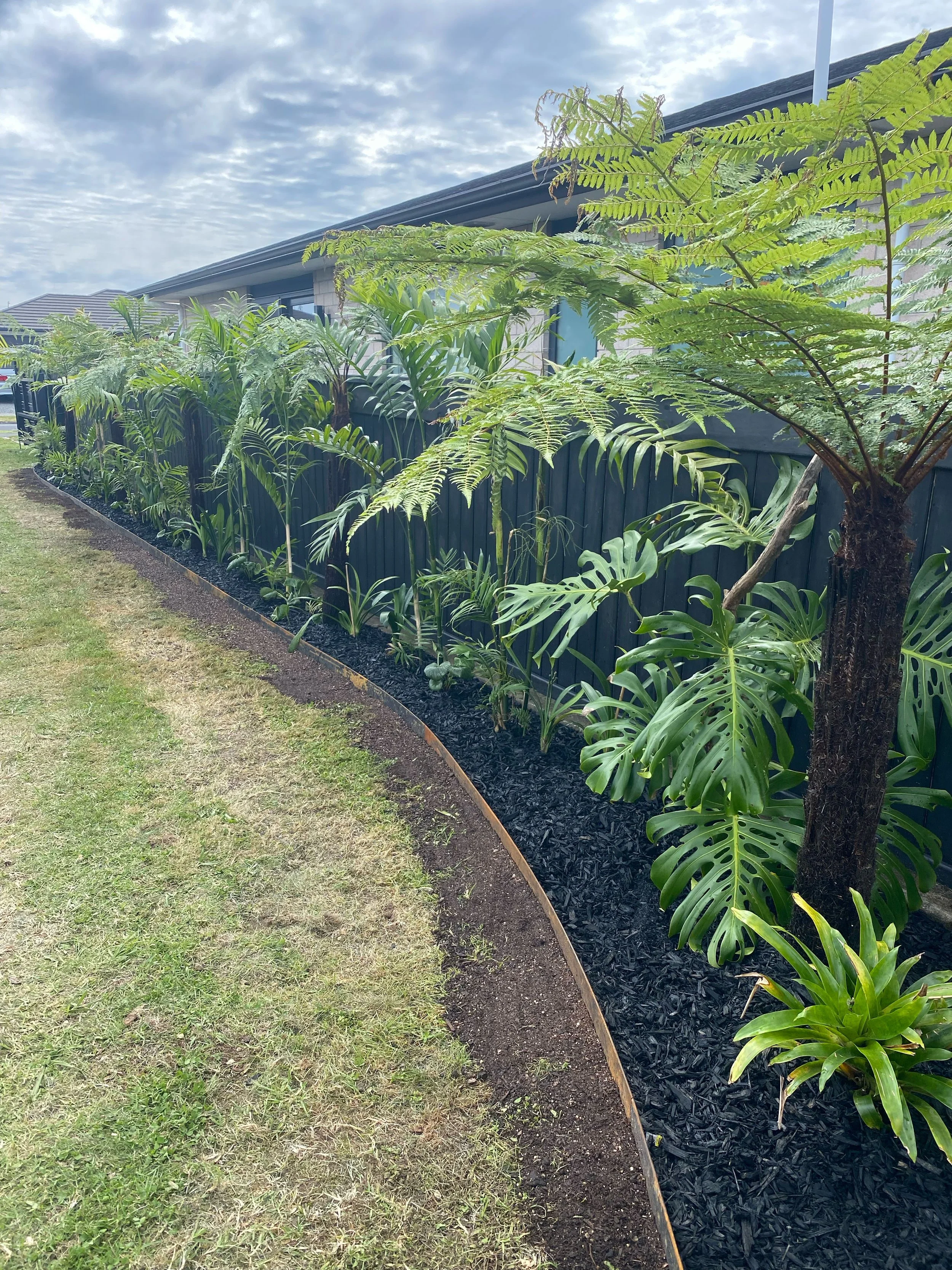 A garden bed with various green tropical plants and ferns next to a dark wooden fence, with a house and cloudy sky in the background.
