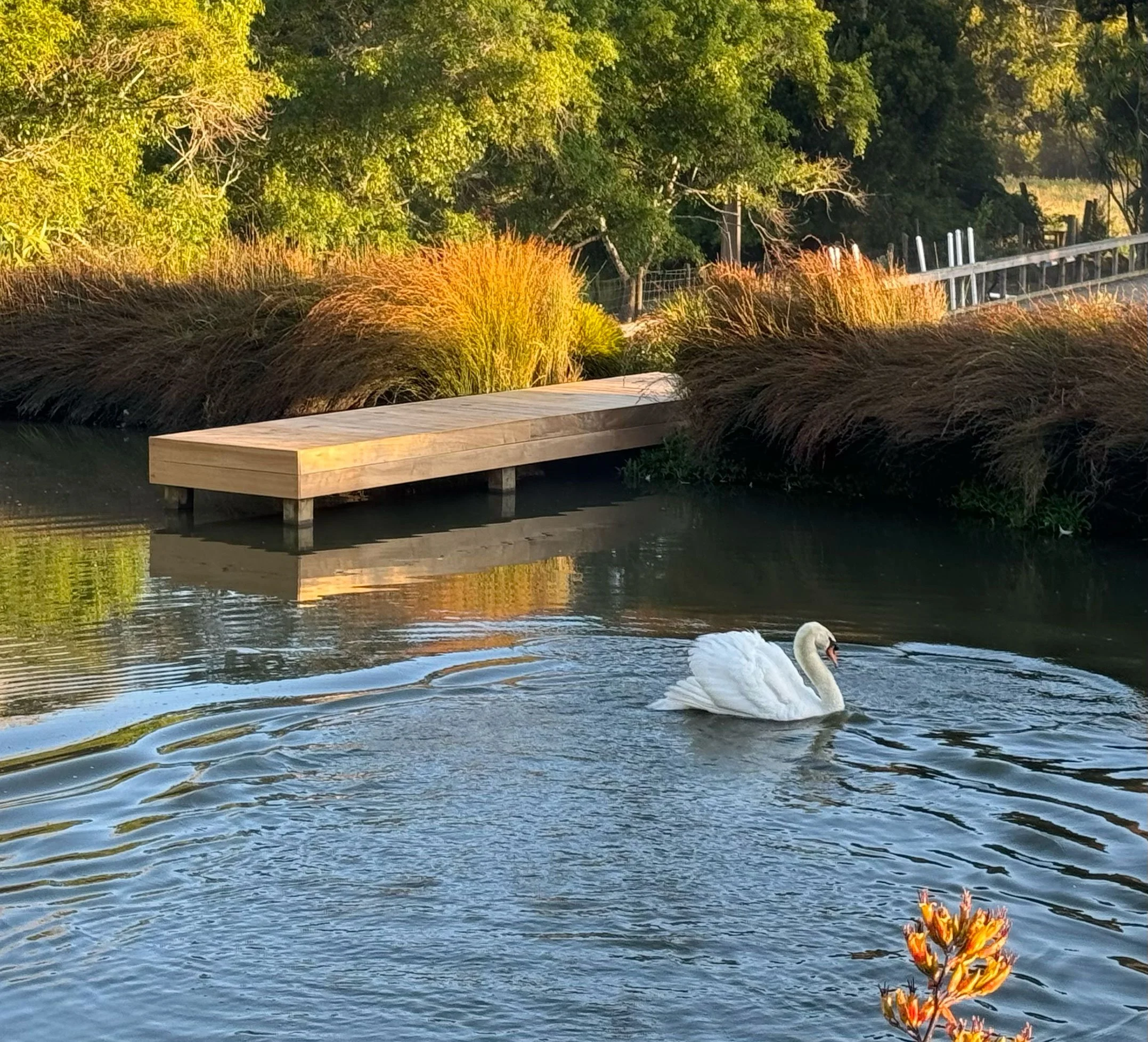 A serene pond with a swan swimming near a small water lily pad and orange flowers. The background features lush green trees and a wooden dock on the water's edge.