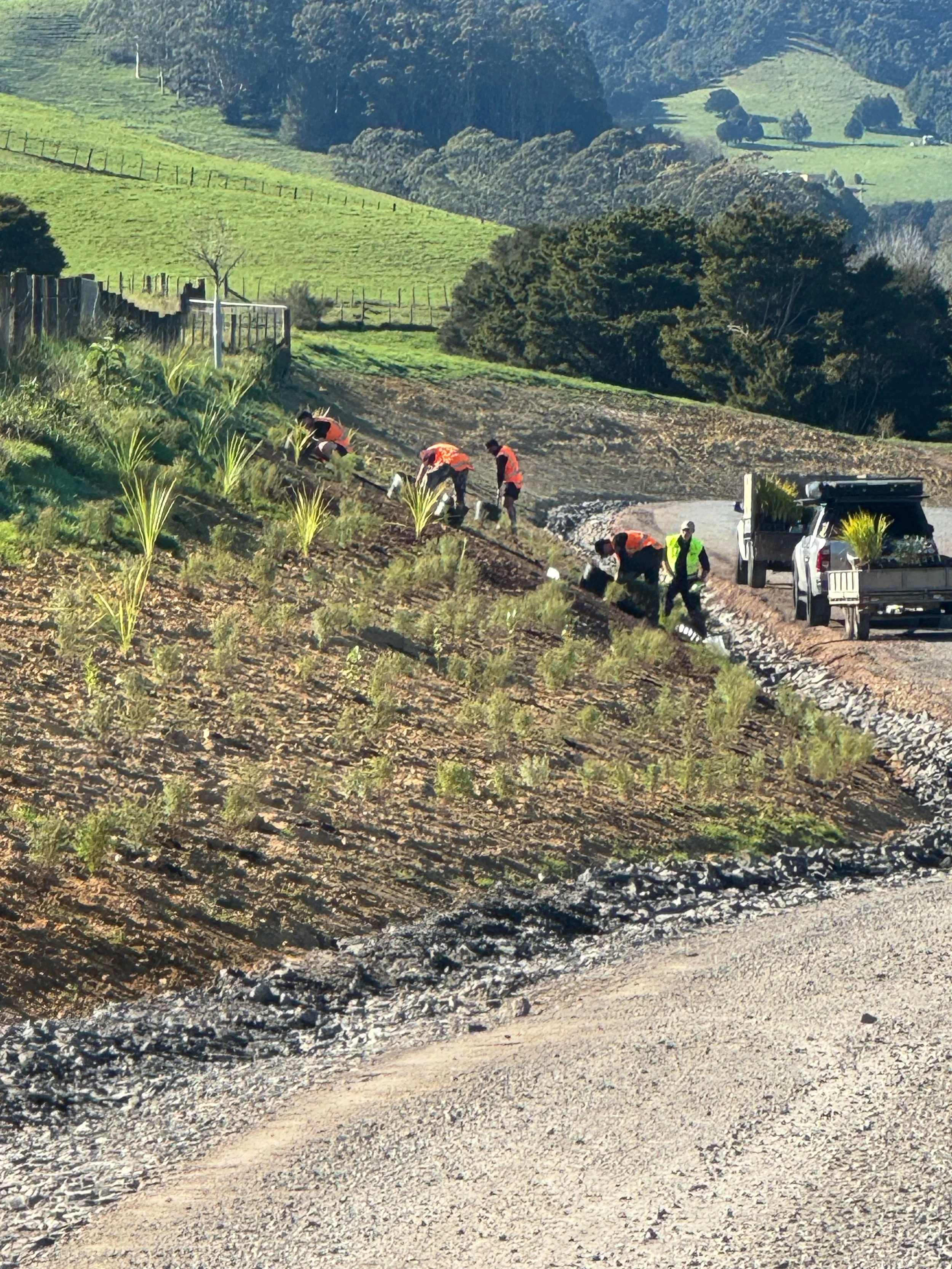 People planting young trees or plants along a hillside with vehicles nearby and a rural landscape with rolling hills and trees in the background.