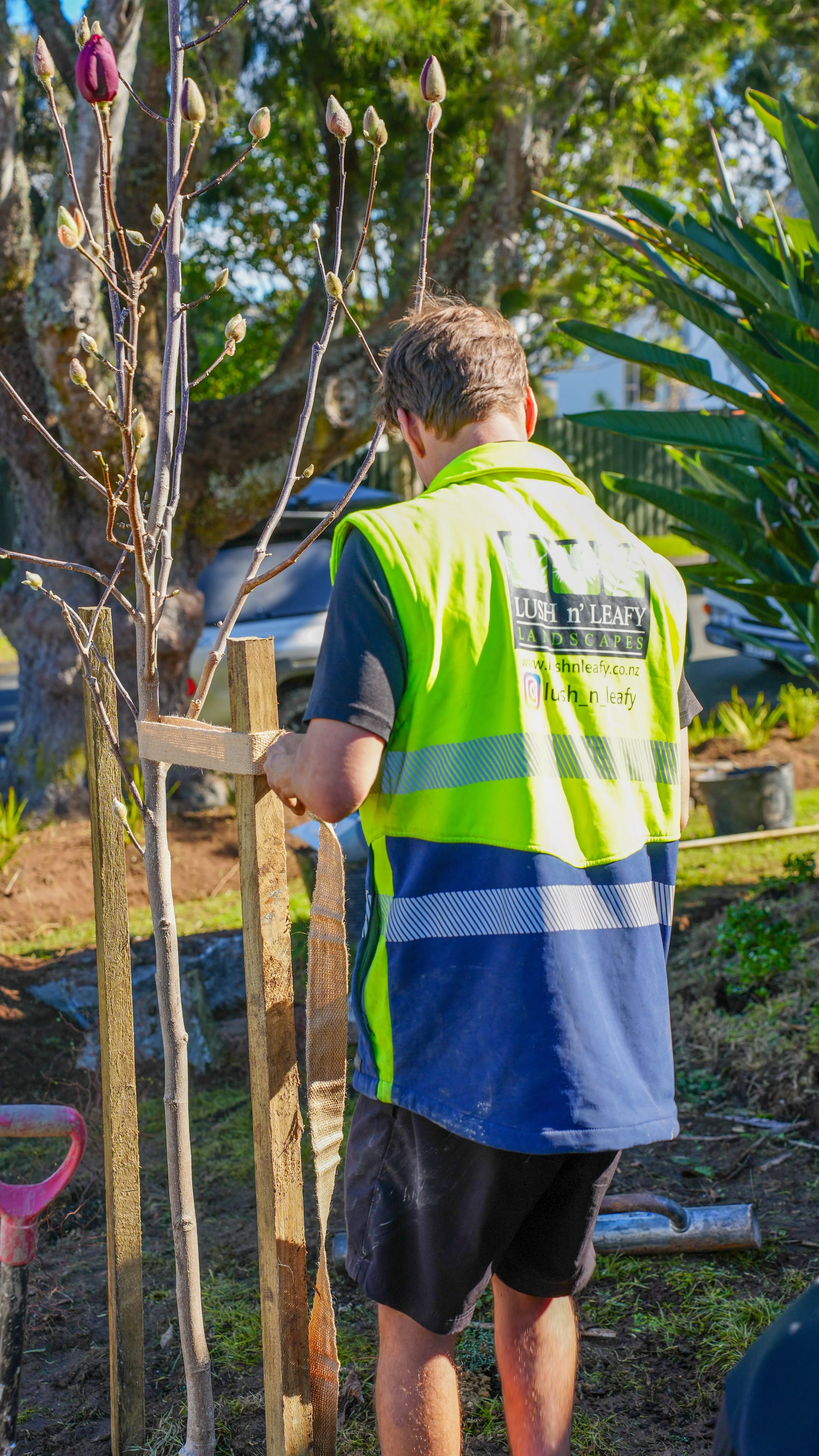 A person wearing a green safety vest working outdoors planting or supporting a young tree with wooden stakes, surrounded by greenery.