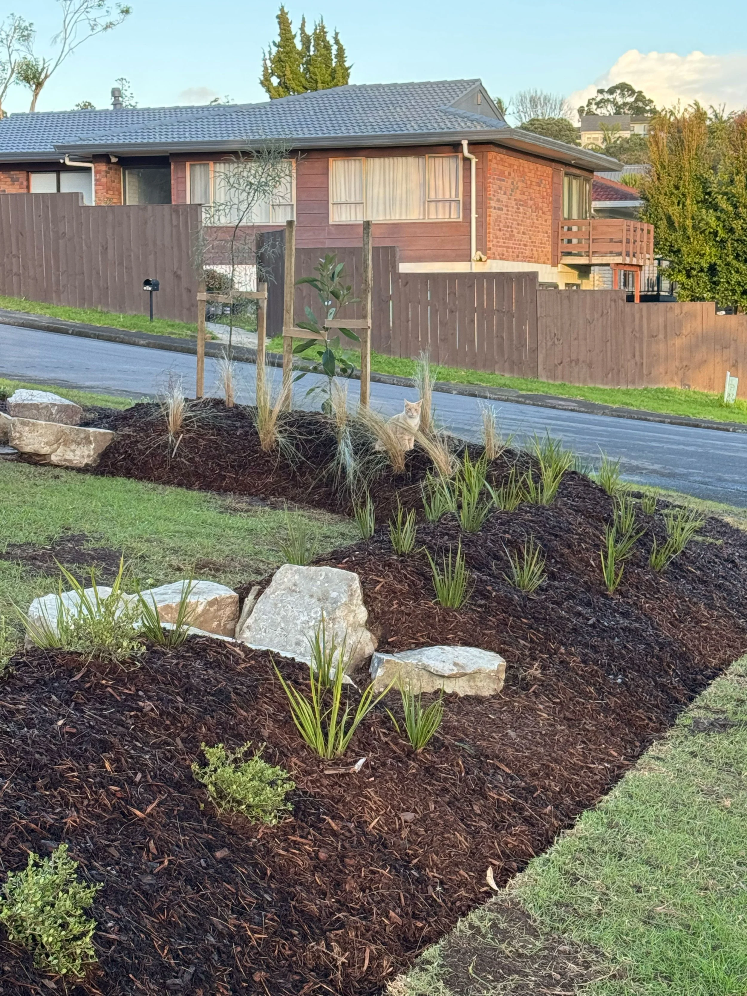 View of a residential front yard with a newly planted garden bed containing various small plants and mulch, a stone border, and a wooden fence with a house in the background under a partly cloudy sky.