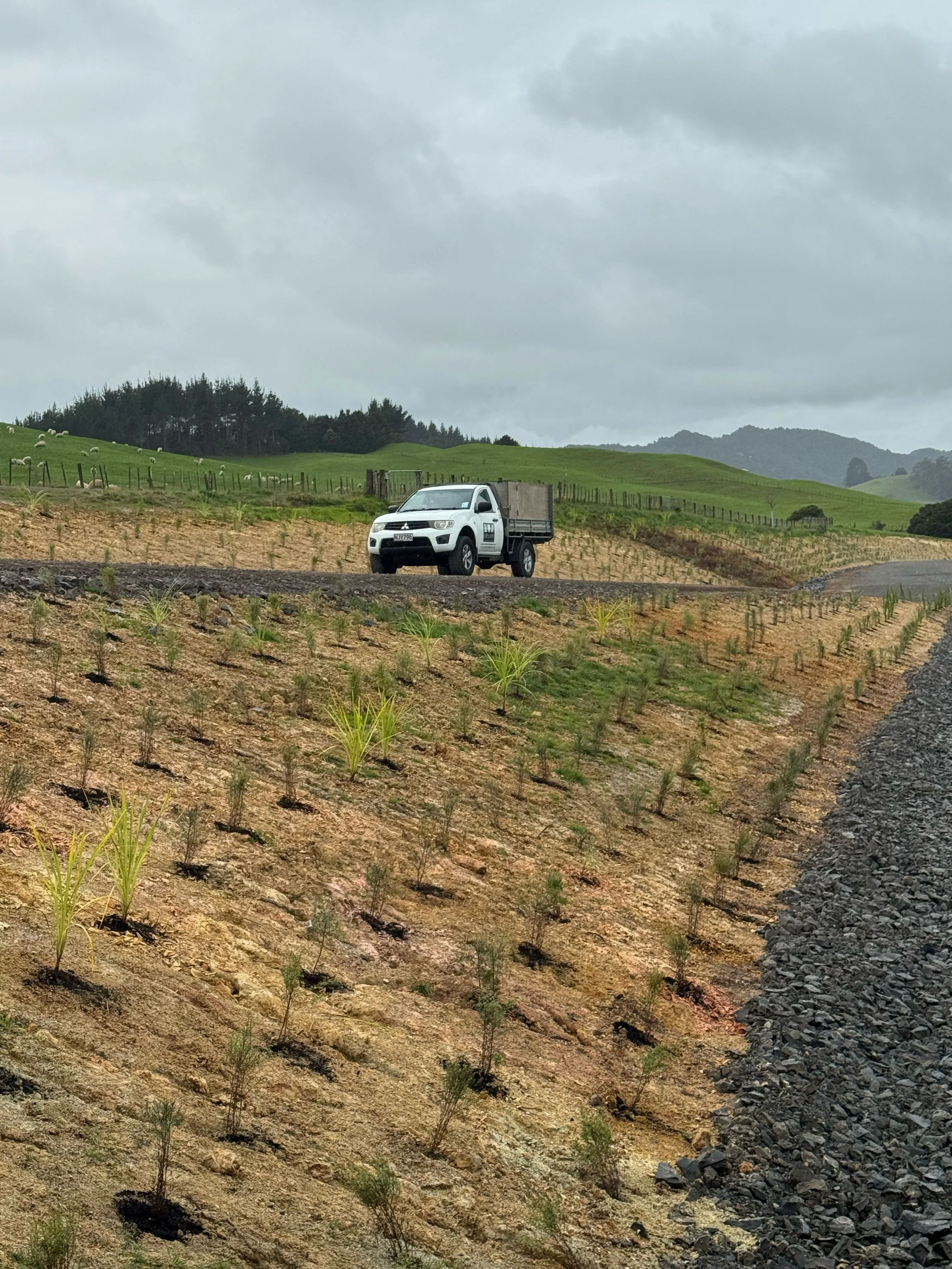 A white pickup truck parked on a dirt road in a rural, hilly landscape with green grass, small plants, trees, and a cloudy sky.