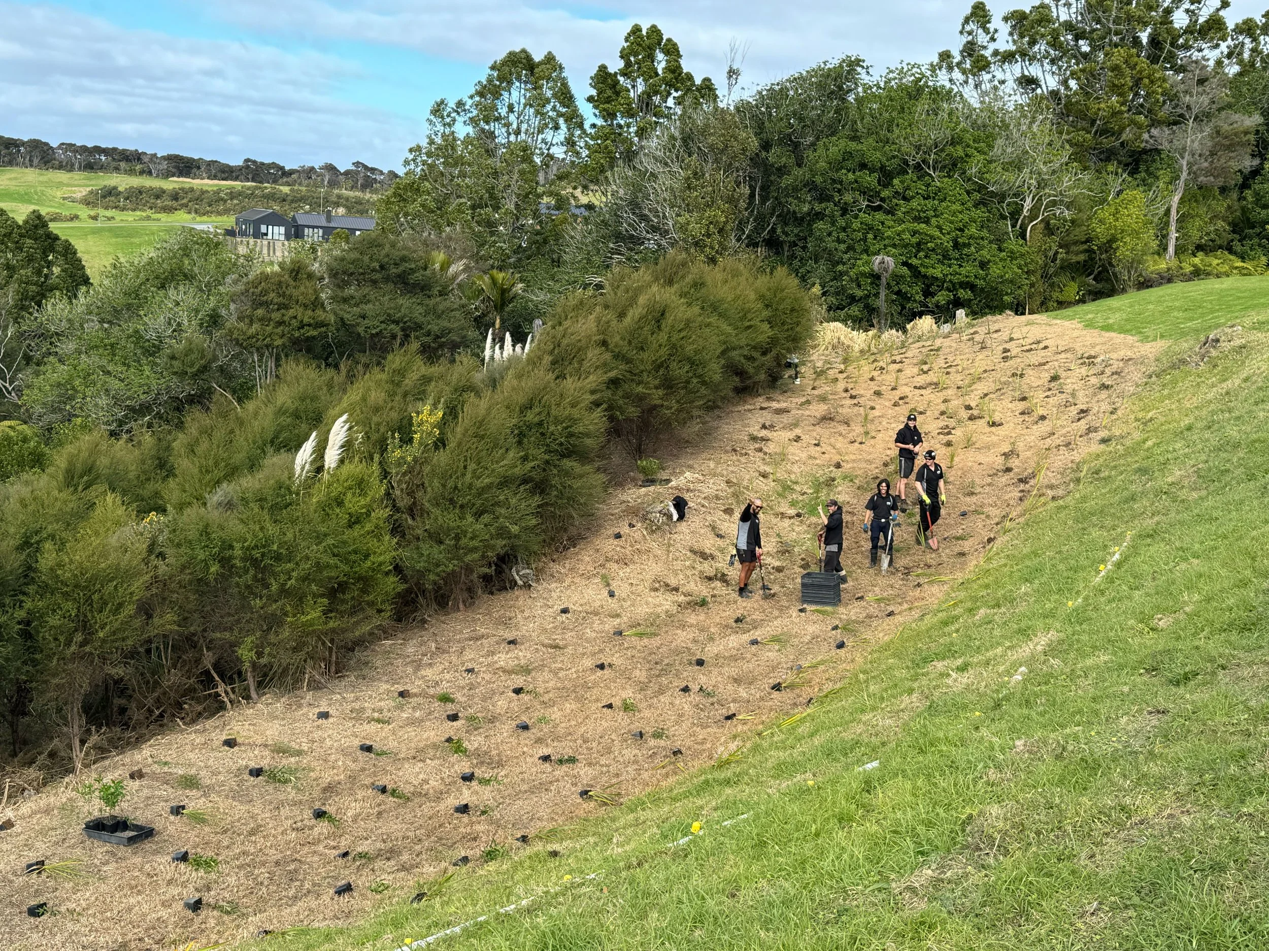 People working in an outdoor garden or landscaping area with trees, grass, and shrubs, some individuals are wearing masks, and there are tools and containers on the ground.
