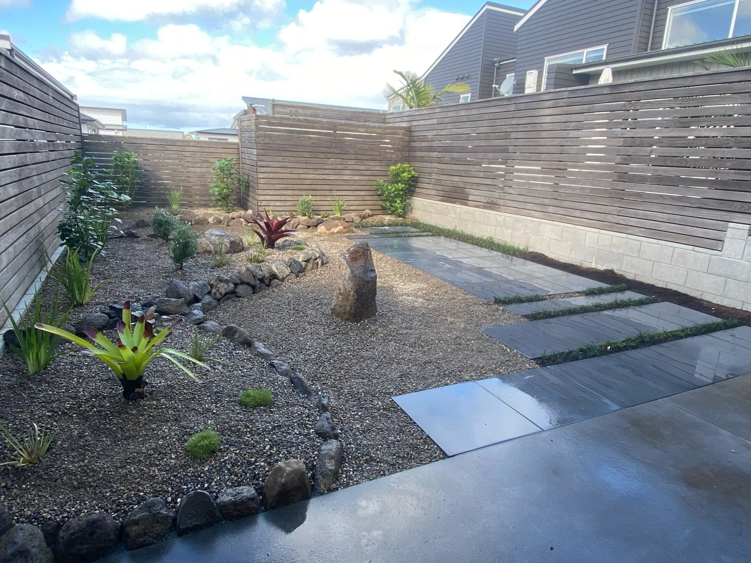 A backyard garden with a gravel area, small plants, and rocks, enclosed by a wooden fence, with modern houses and a cloudy sky in the background.
