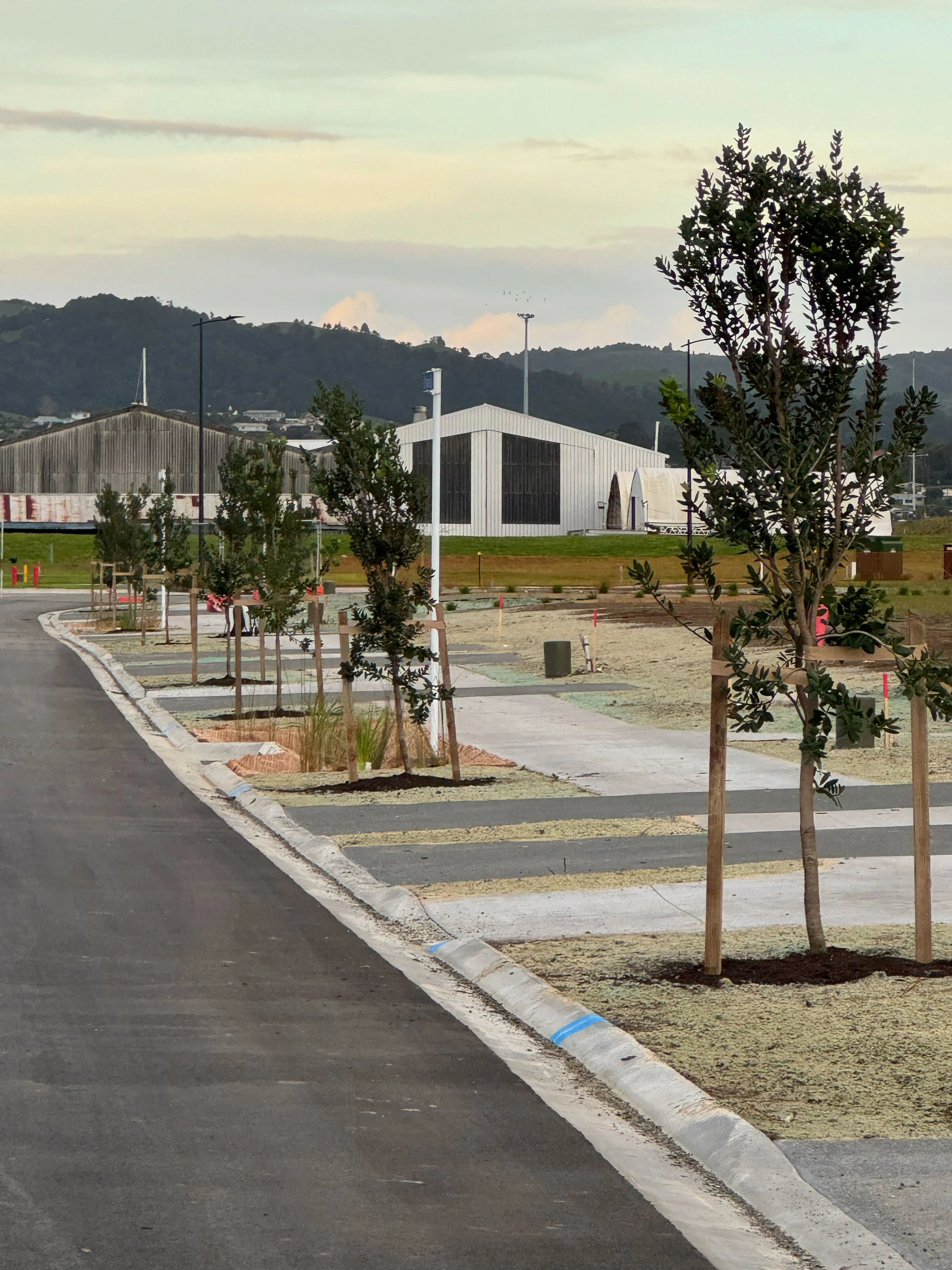 A parking lot with newly planted trees along the sidewalk, a white metal building in the background, and green hills under a cloudy sky.