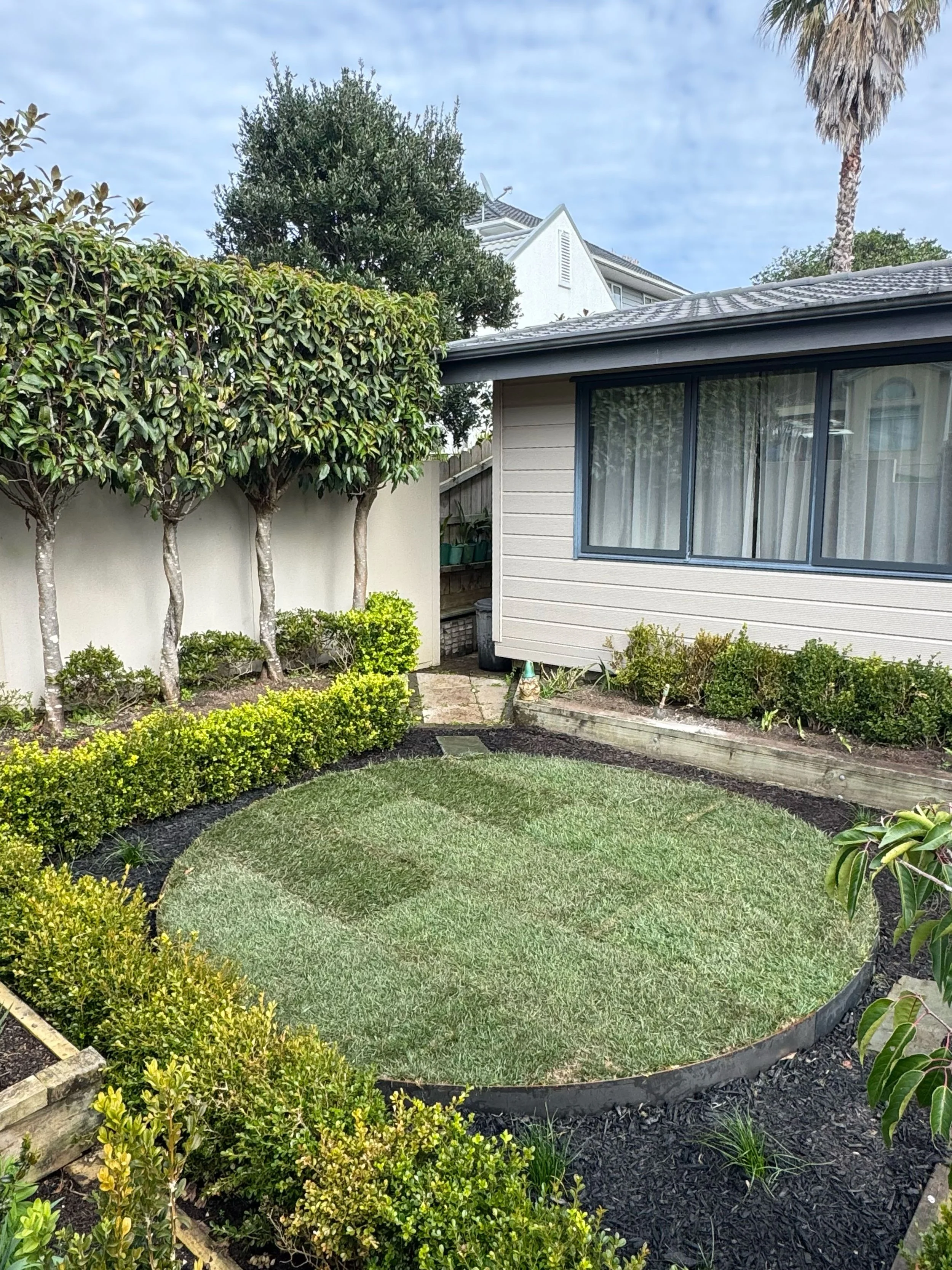 A backyard garden with a small grassy area surrounded by neatly trimmed bushes and a mulch border. There are three small trees along a fence and a house with large windows and horizontal siding. The sky is partly cloudy.
