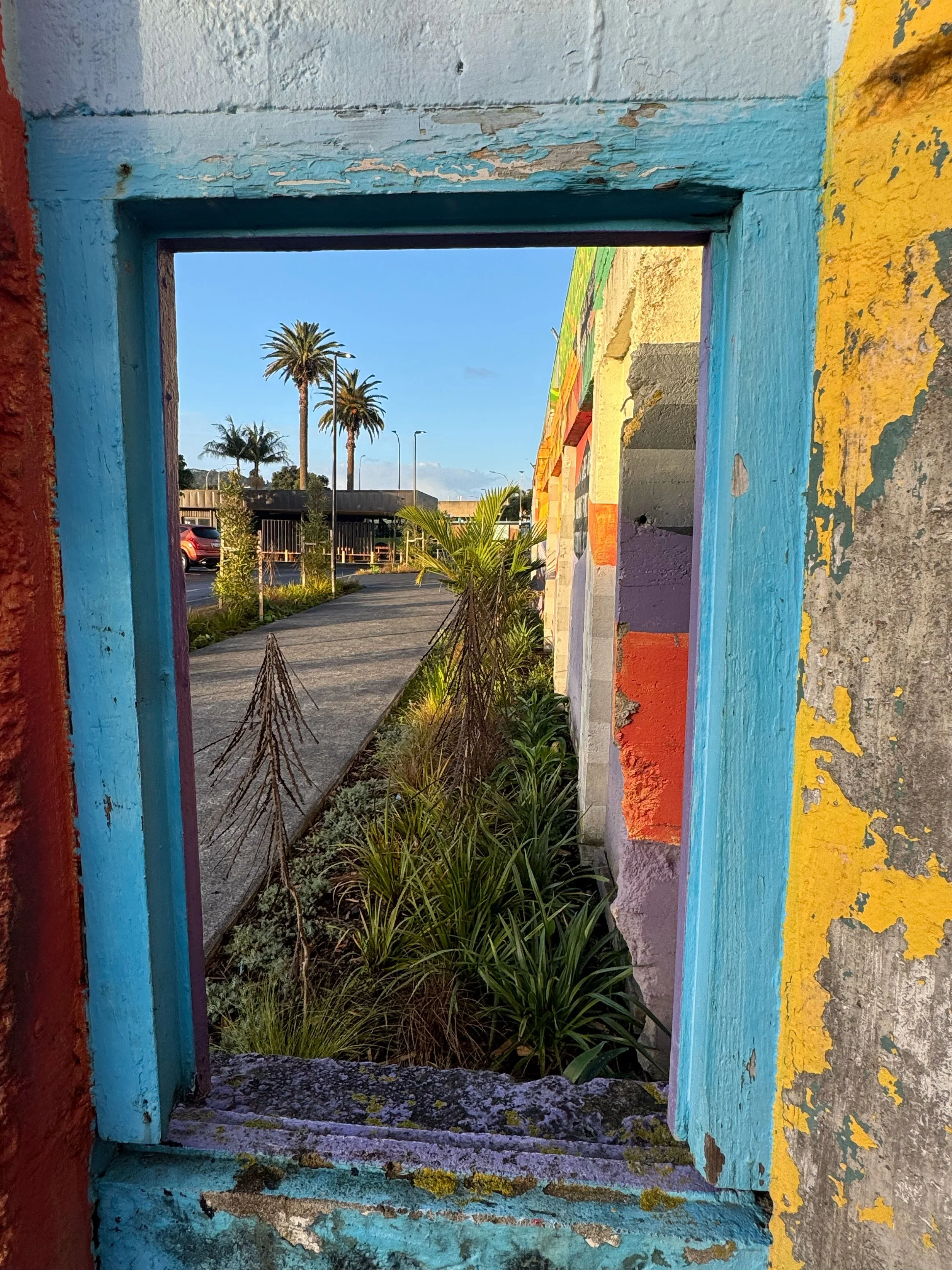 Colorful, weathered window frame with peeling paint; view through window shows a sidewalk, greenery, palm trees, and a building under a clear blue sky.