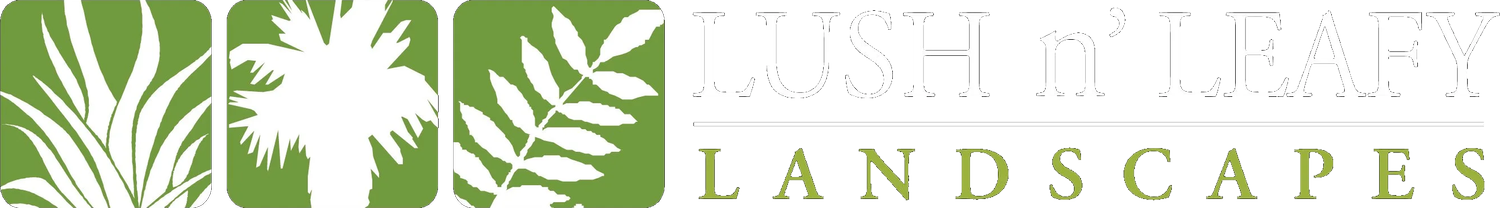 Lush n Leafy | Auckland Landscaping &amp; Garden Design