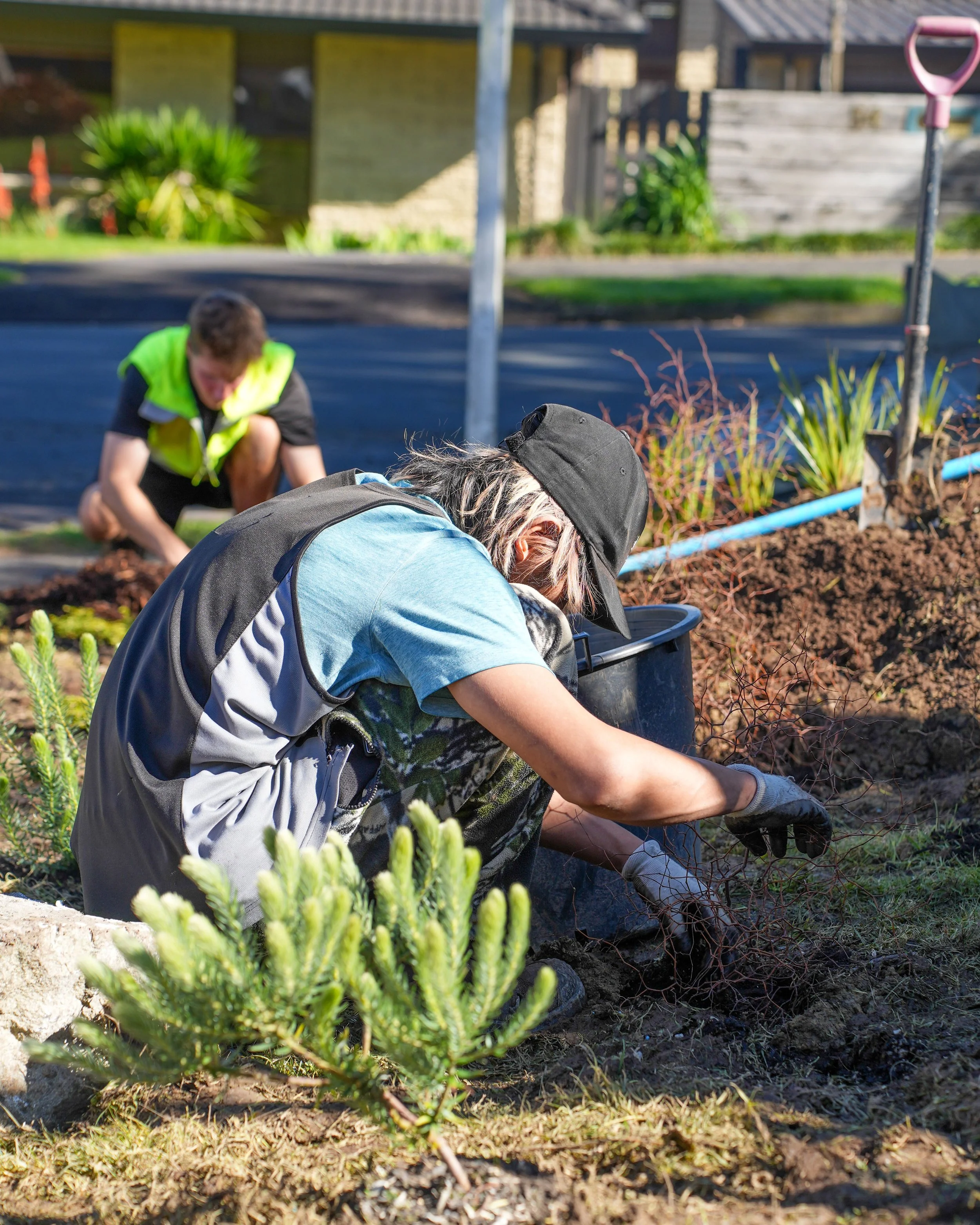 Two people planting or tending to young plants or seedlings in a garden bed on a sunny day.