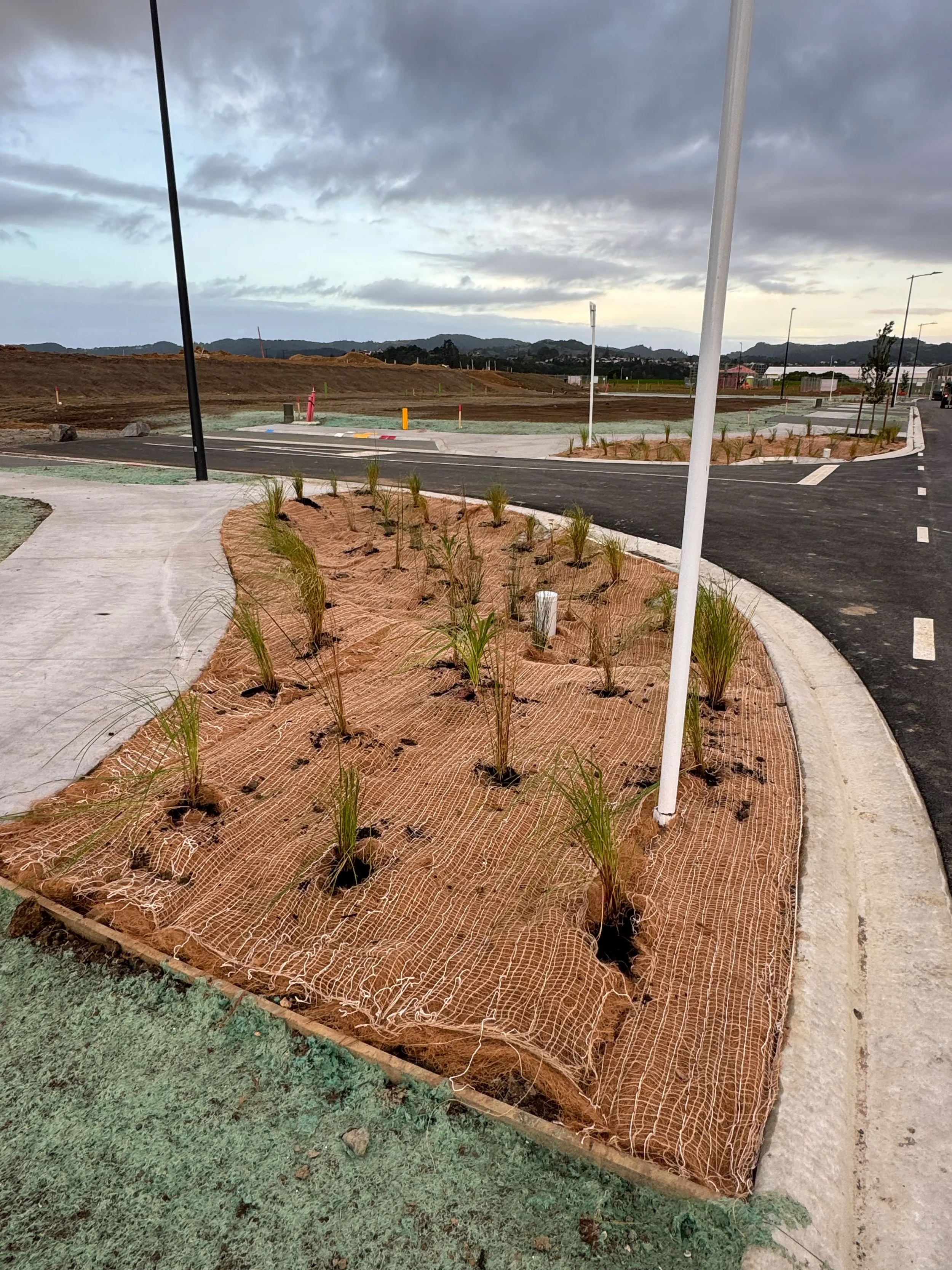View of a newly developed urban area with a sidewalk, young trees, small plants, streetlights, and under-construction land with dirt mounds and no buildings yet, under a cloudy sky.