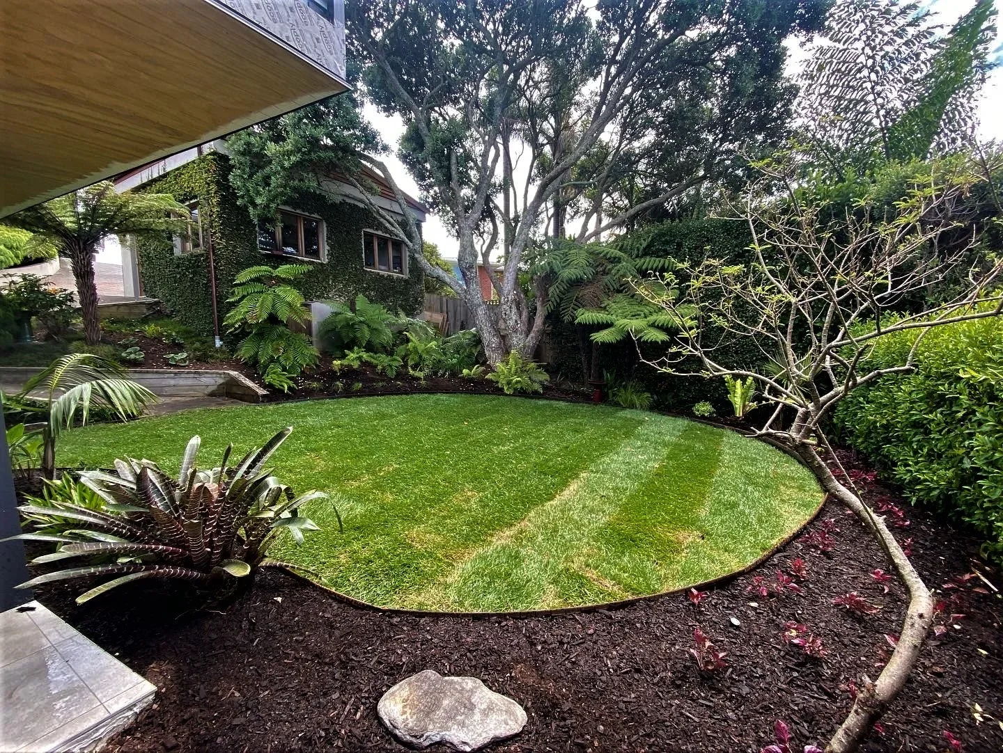 A backyard garden with a lush green lawn, surrounded by various trees, bushes, and plants, with a house partially visible in the background.