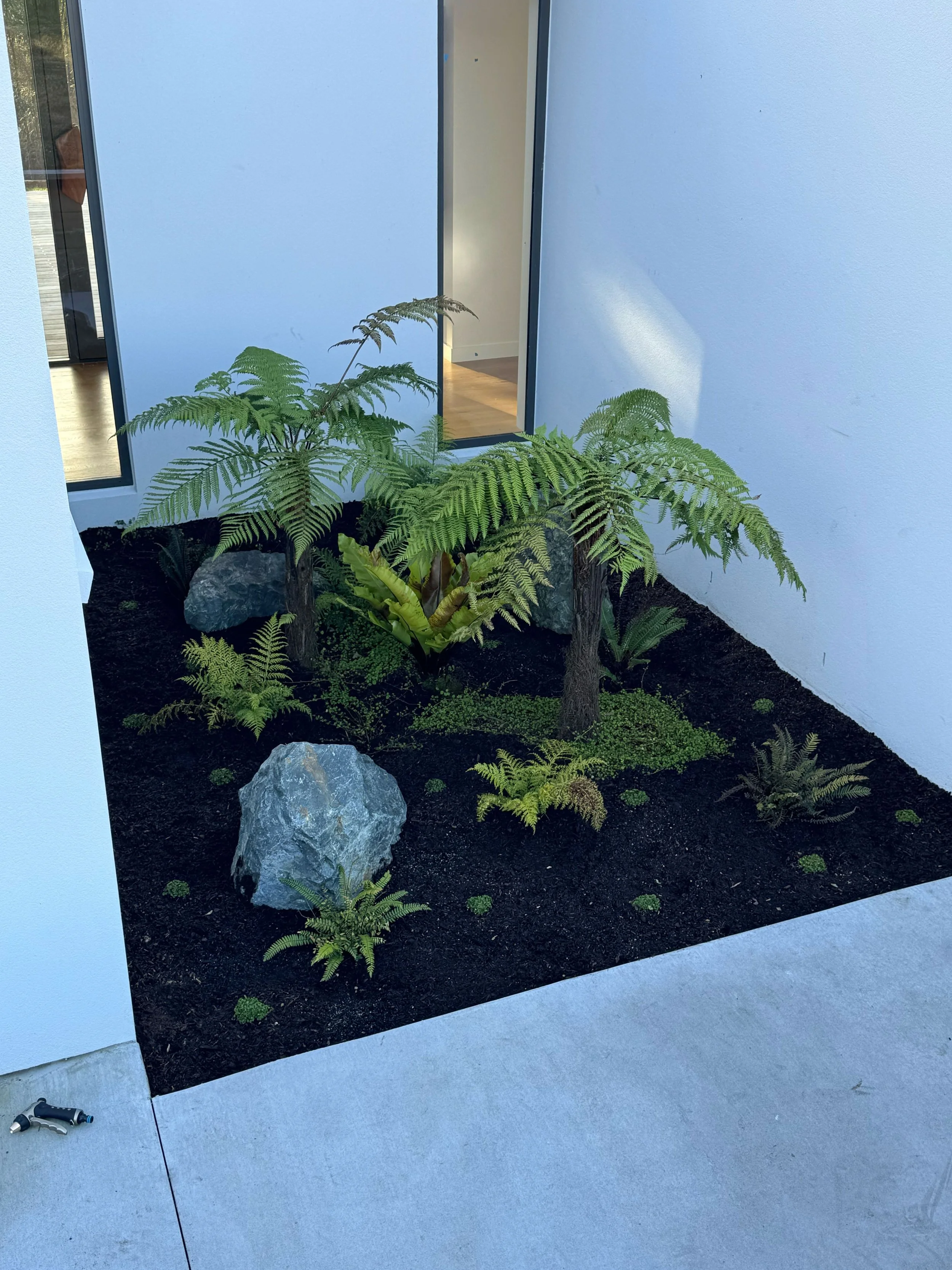 A modern outdoor garden with ferns, rocks, and dark soil, surrounded by white walls and a concrete floor.
