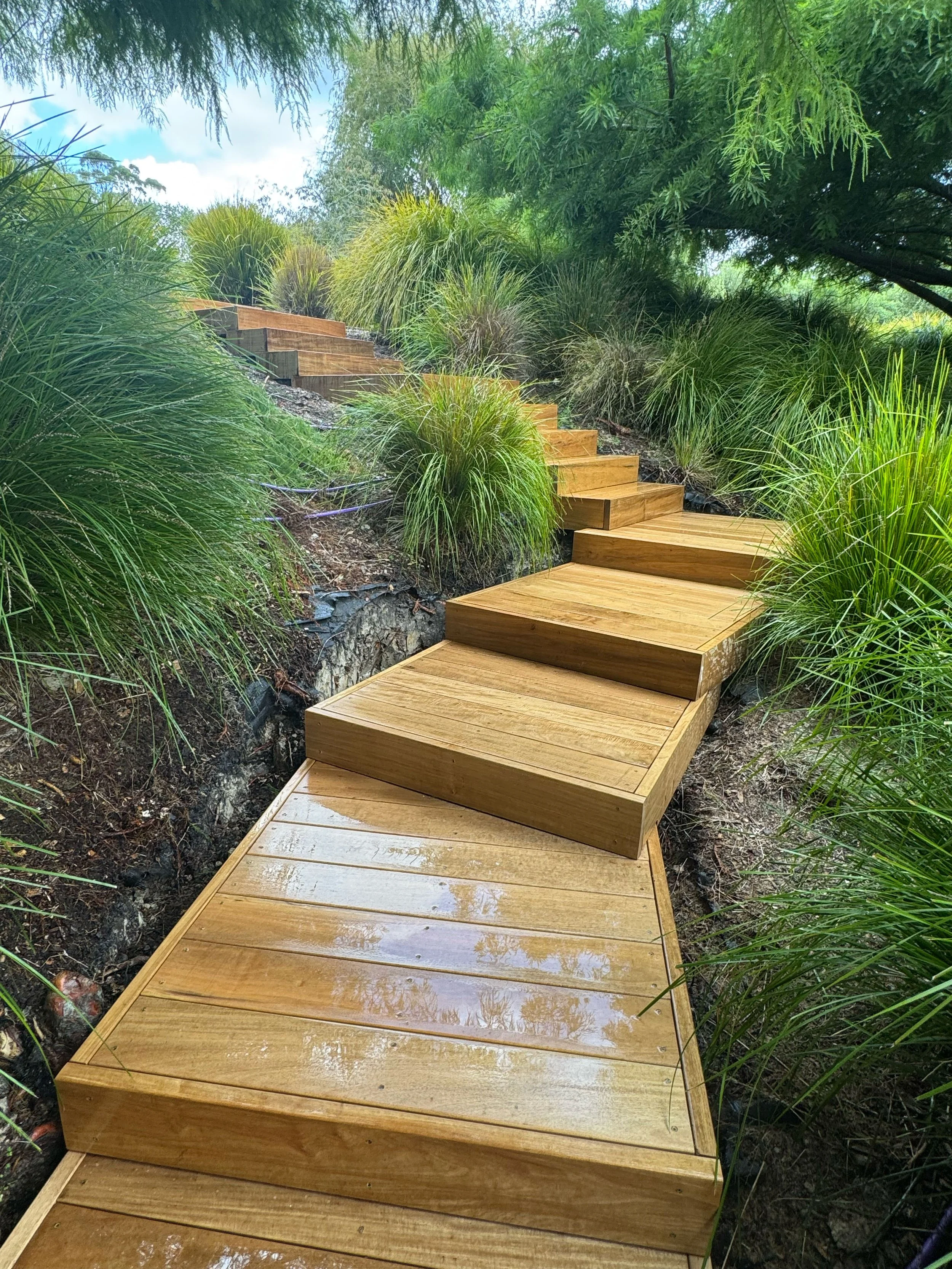 Wooden pathway stairs through lush green garden with tall grass and trees.