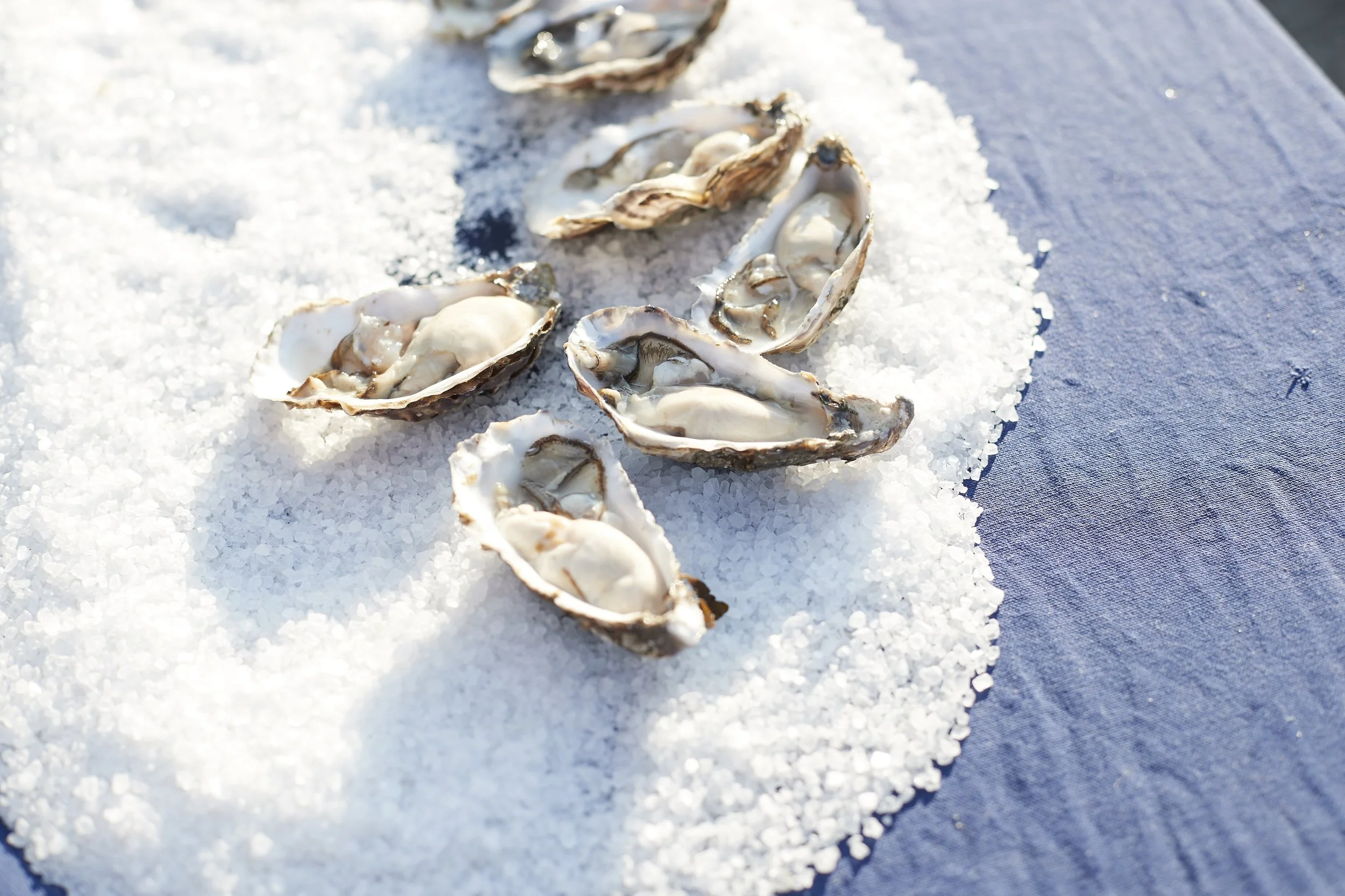 Oysters at Berts London