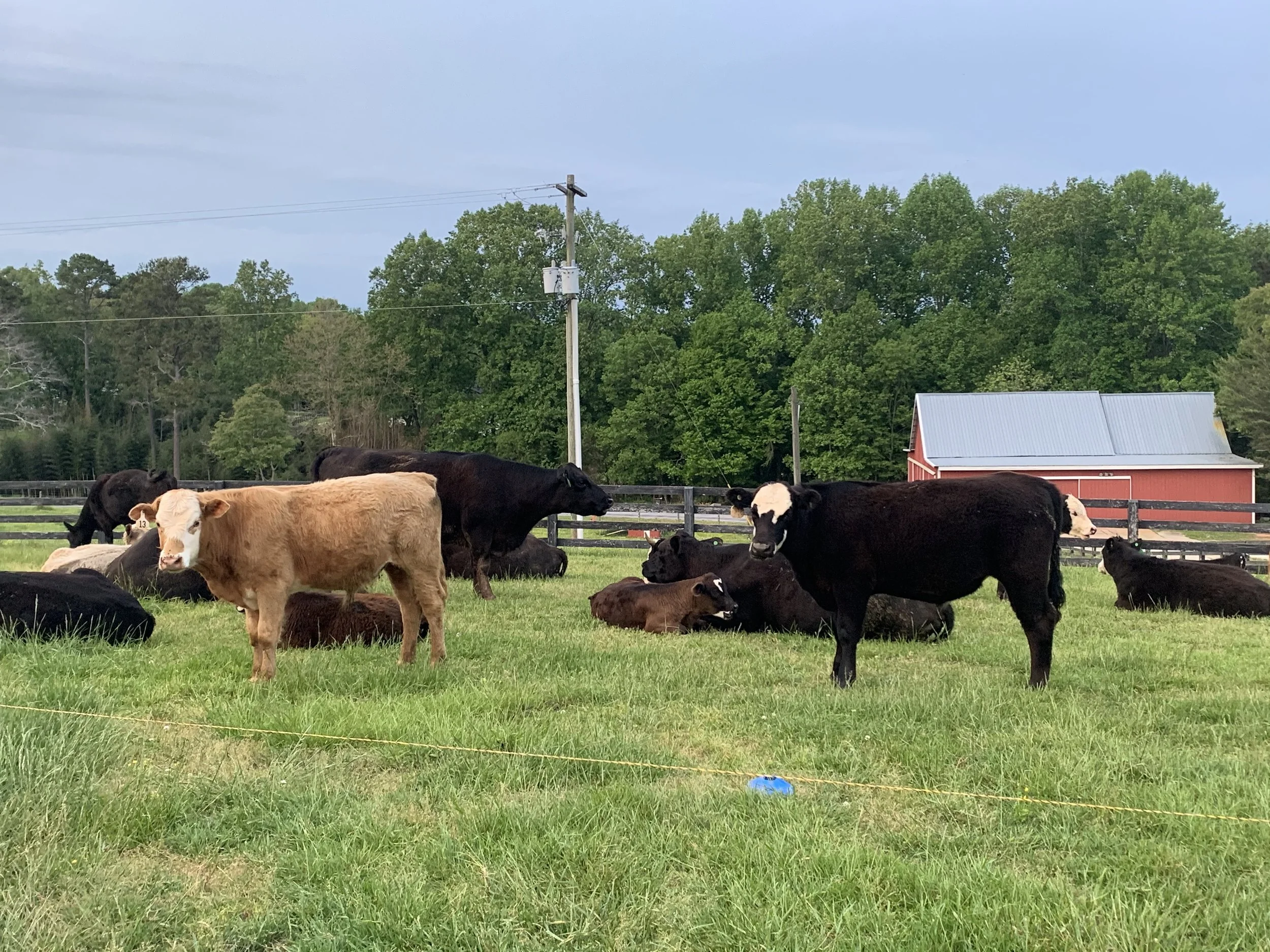 About — Hopewell Farms