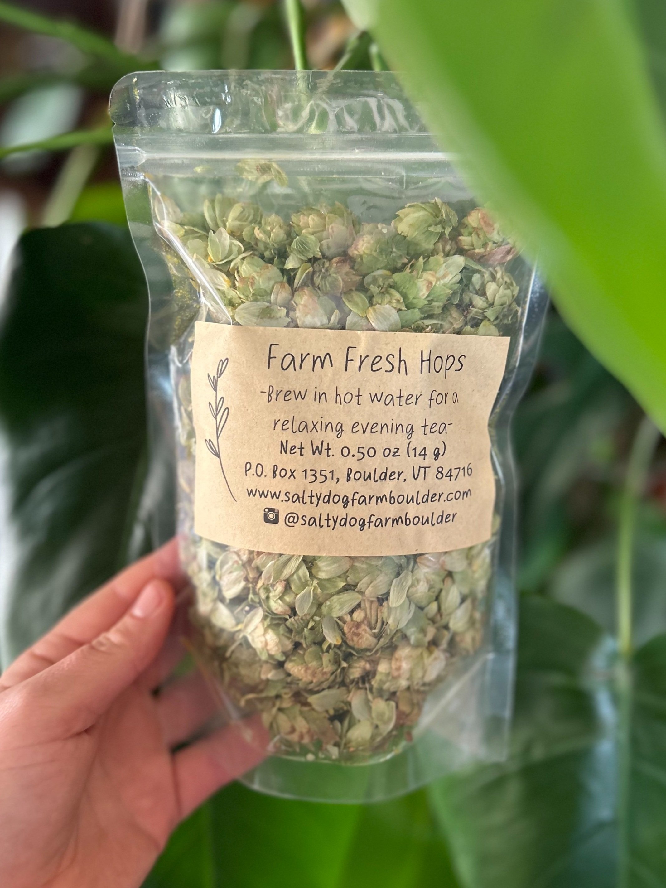 Dried Hops