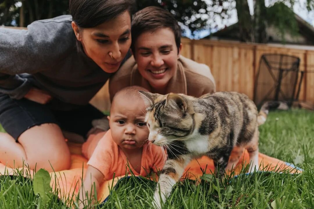 Haaayyy new followers! A little about me (part 1): 

Here's a photo of me with my wife Hilary (L) and our baby Ayomi! He's an extremely serious baby as you can see here 😂 and he's the best!

We are proud cat people. Our cat Tooey considers herself A