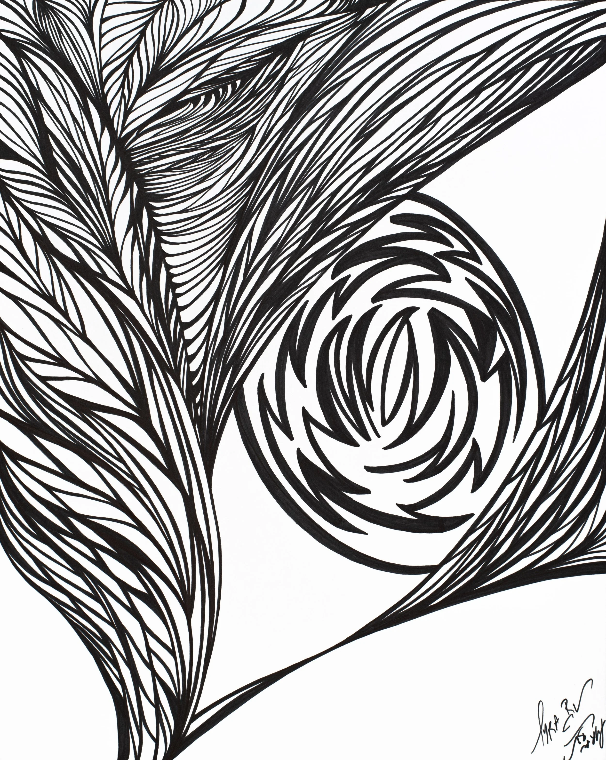 Vortex