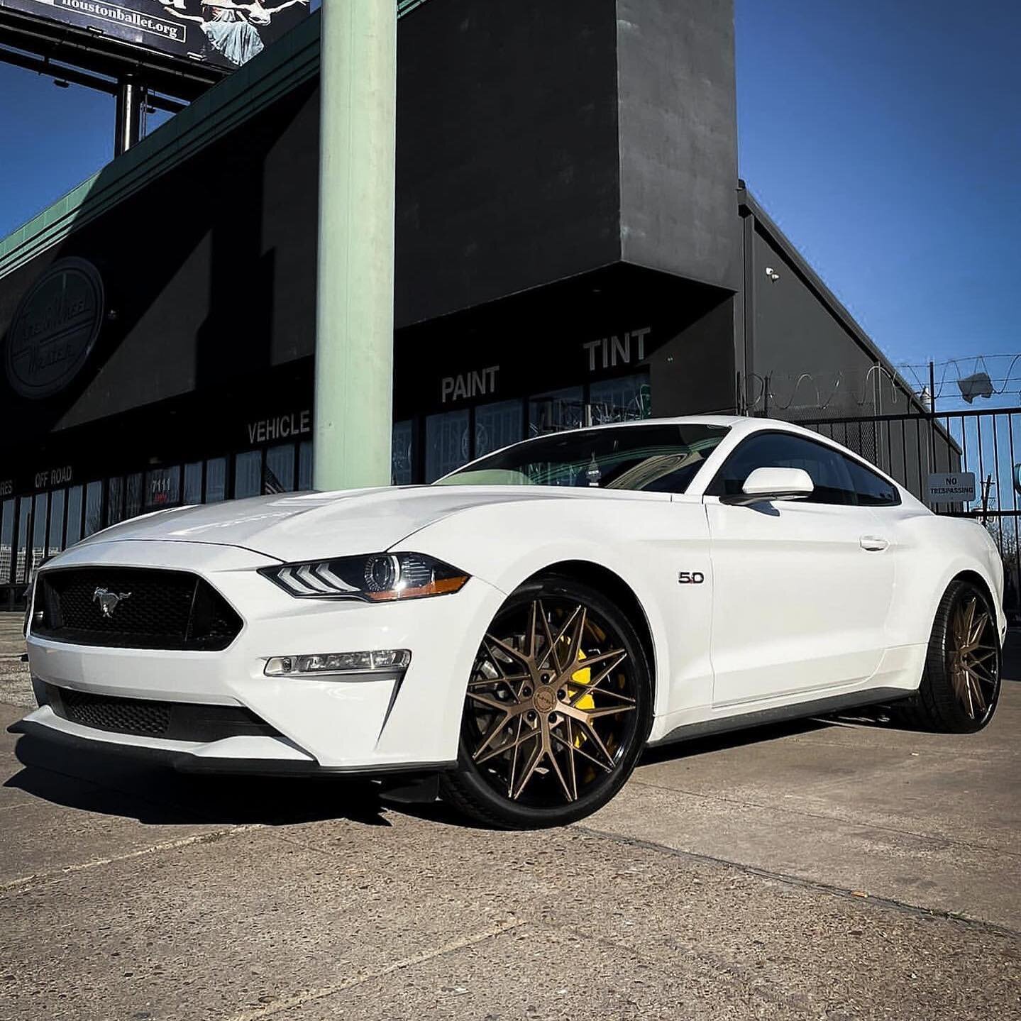 Mustang on Staggered EL24 Gloss Black / Bronze Face 

___________________________
Place your order today: 

AZAD HQ (626) 338-3636
Email: Info@AzadWheels.com 
Send us a DM 
__________________________

#element #elementwheels #mustang