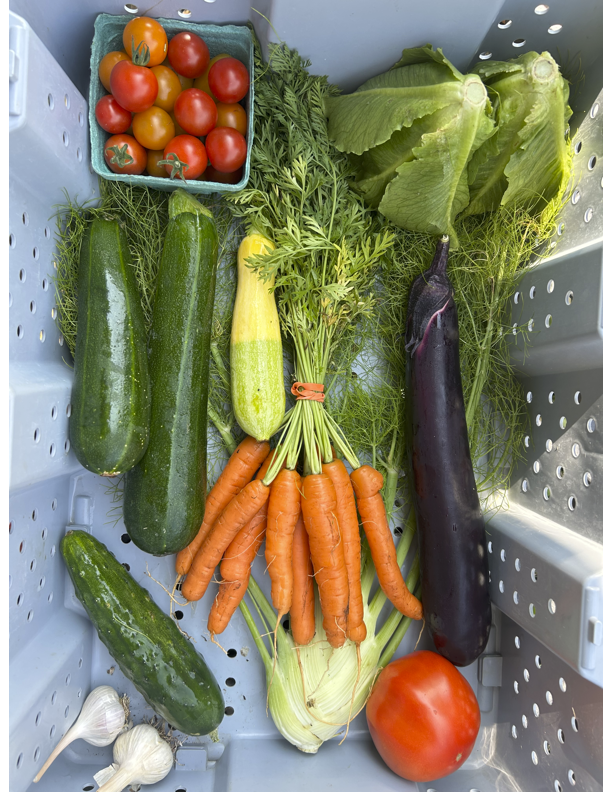 2026 Summer Vegetable CSA