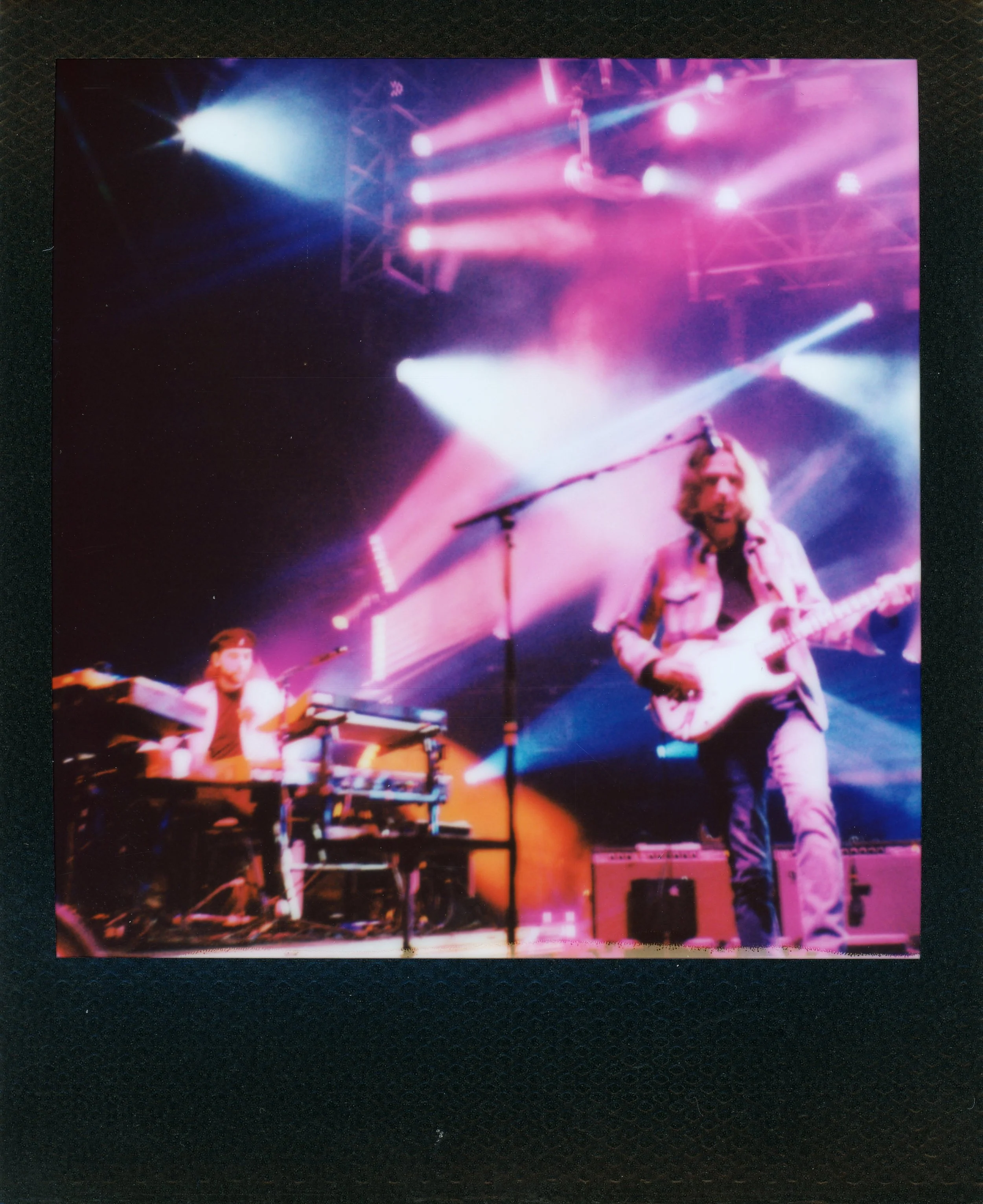 Dogs in a Pile - Valentine’s Day 2026 