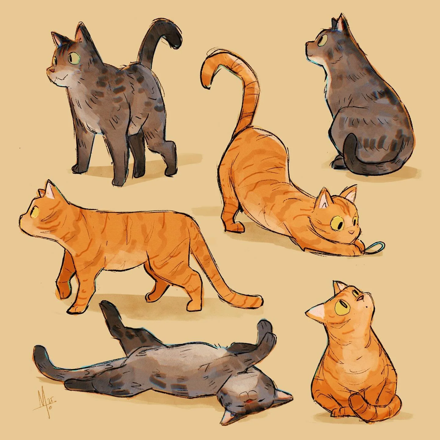 Cats.jpg