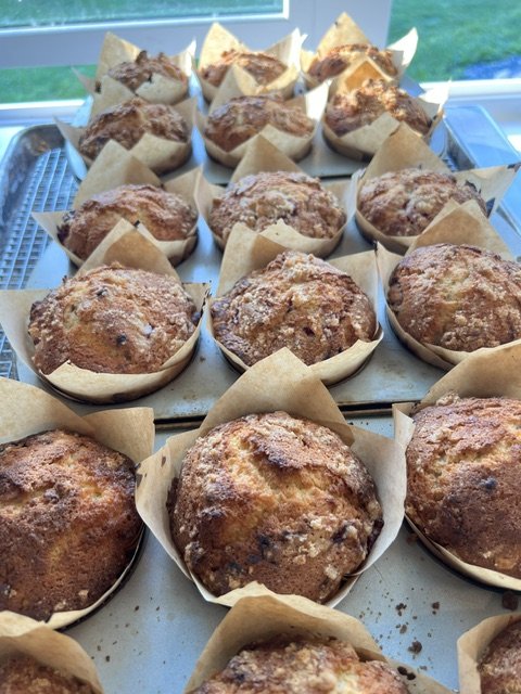 muffins