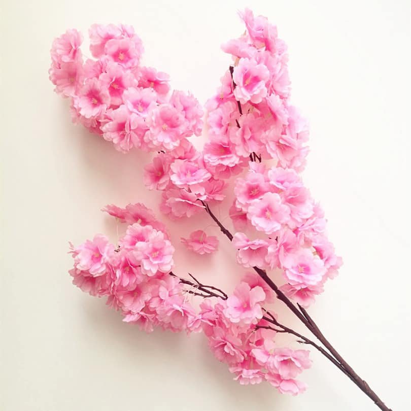 Pink Cherry .jpeg