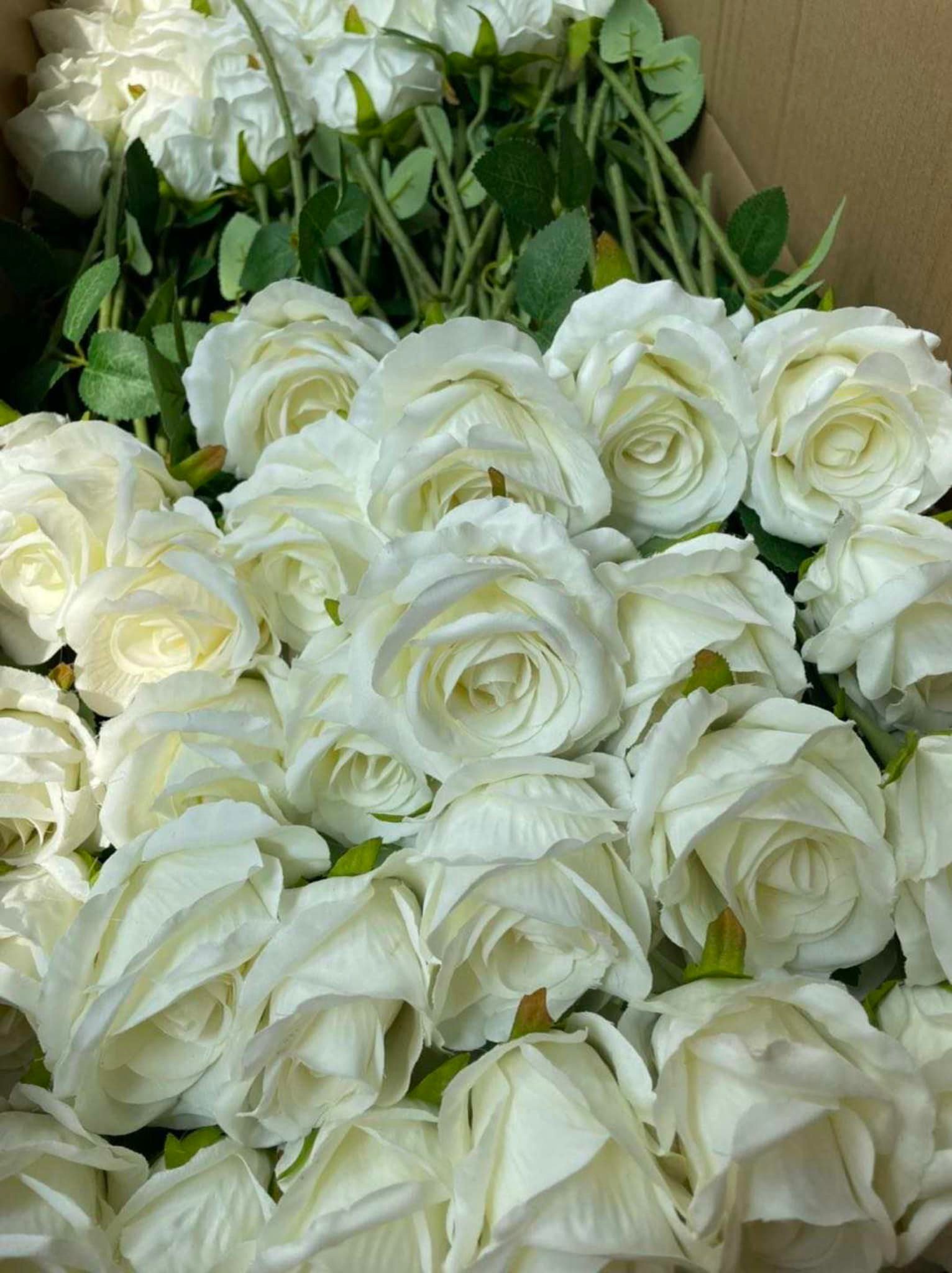 white rose.jpeg