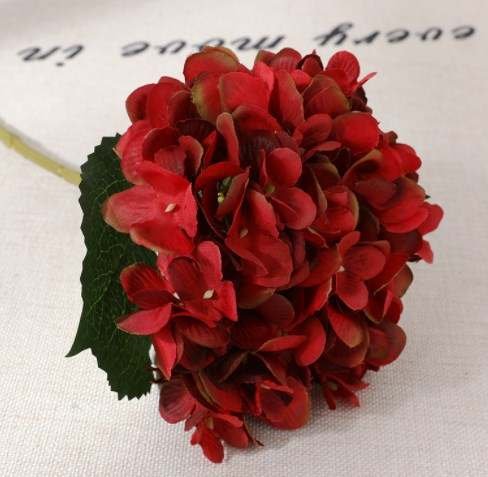 red hydrangea.jpeg