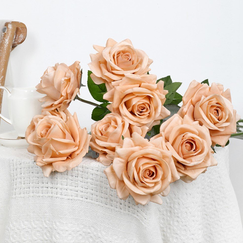 champagne rose.jpeg