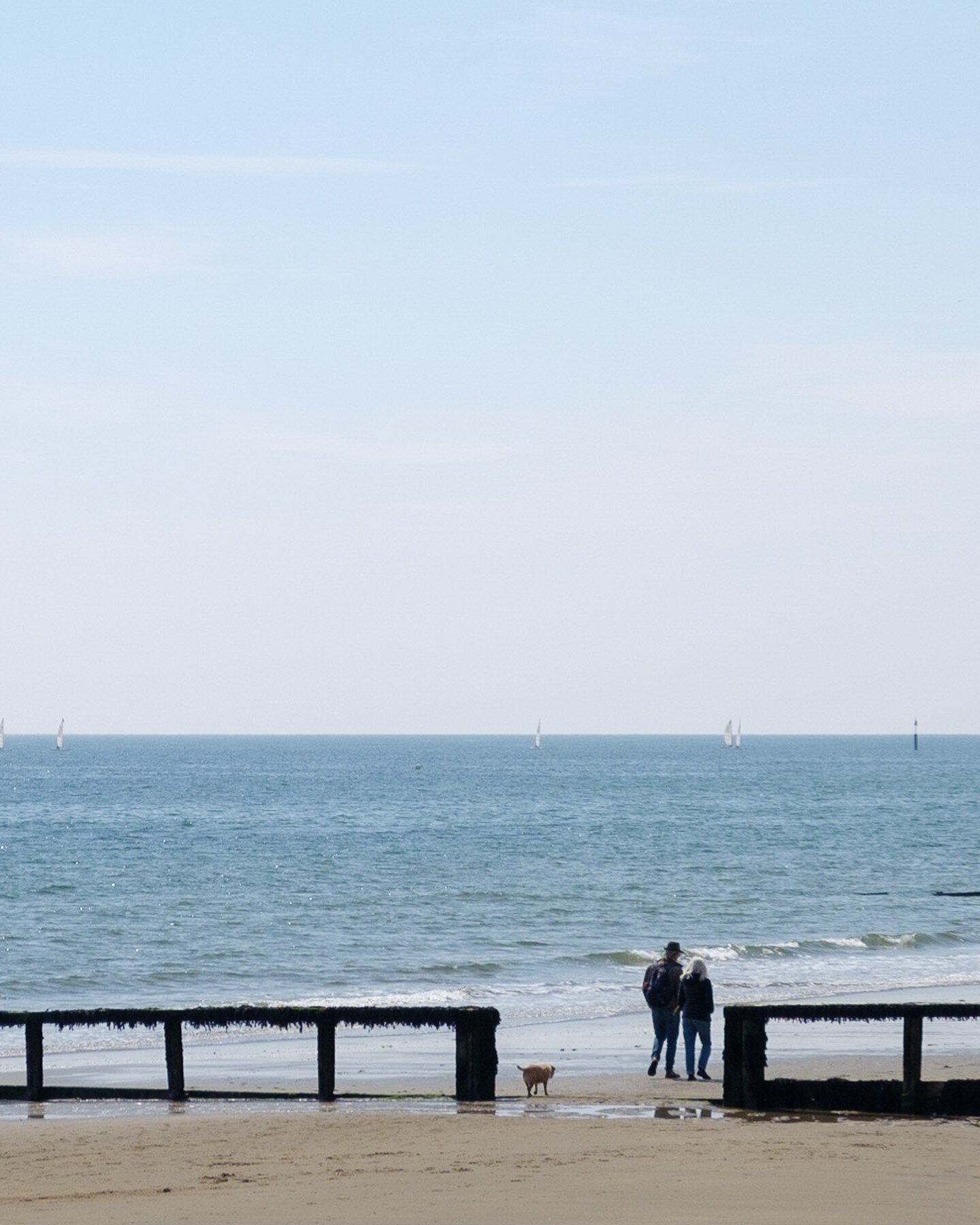 A Good Walk
(Sandown, Isle of Wight, UK)

#isleofwight #seaside #seascape #sandown #iow #ukcountryside
#isleofwight