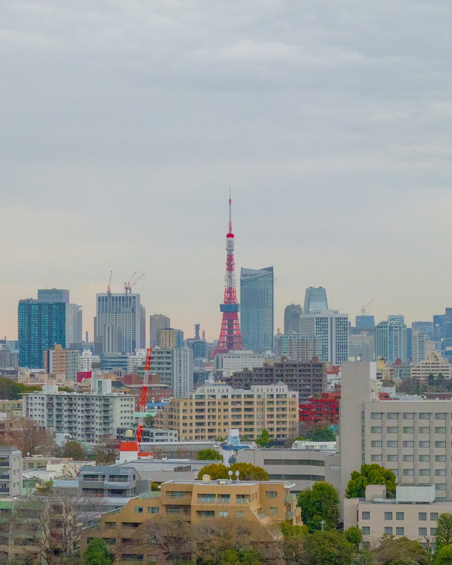 Tokyo Skytree

#tokyo #japan #cityscape #TokyoSkytree #TokyoTower #TōkyōSukaitsurī