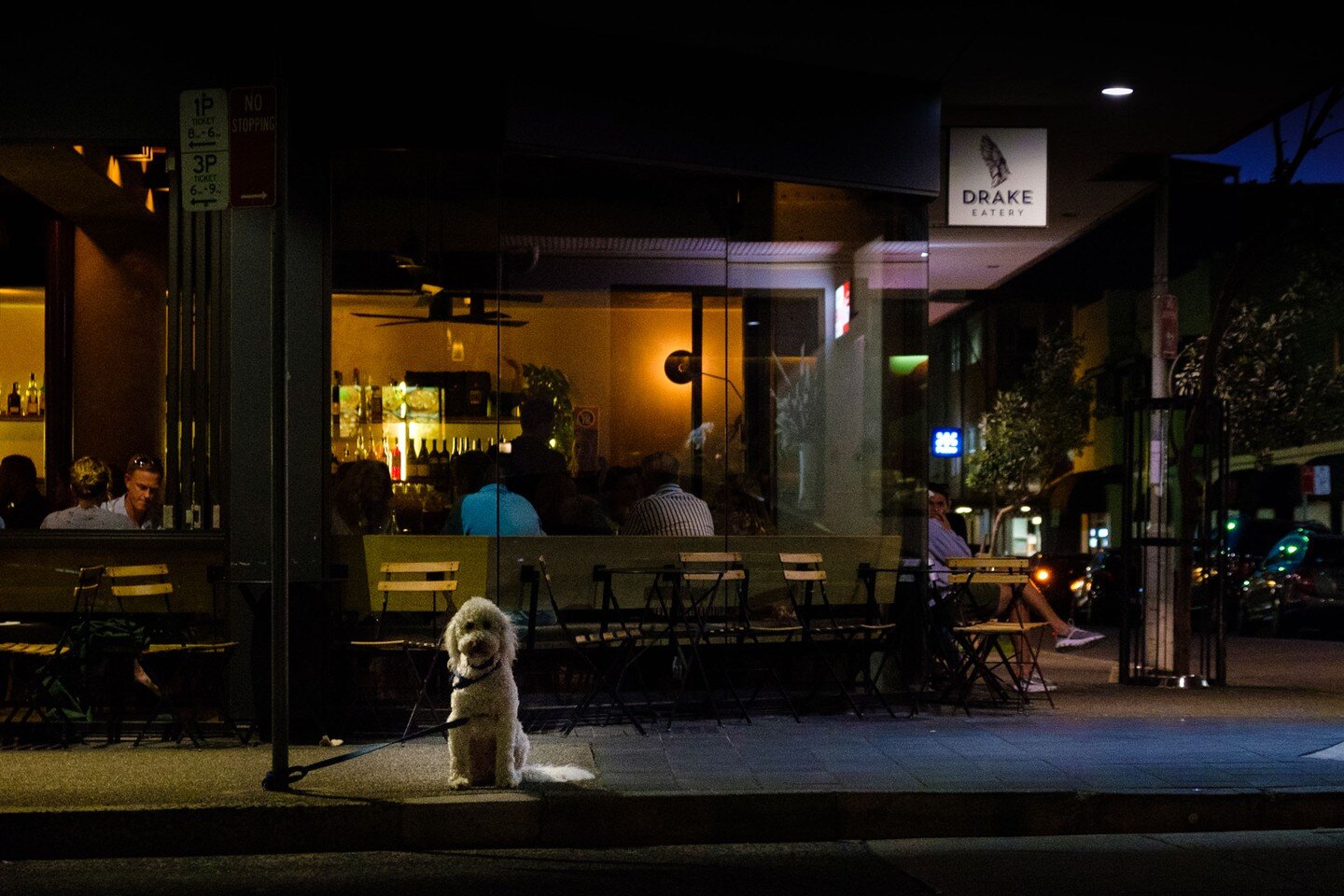 'Waiting'
Shot in Bondi (Sydney, Australia)

@opticnervecollective #OpticNervePets #bondi #pets #dog #streetphotography #pet #Bondibeach #sydney #australia #nightphotography @drakebondi @bondibeach @aquabumps