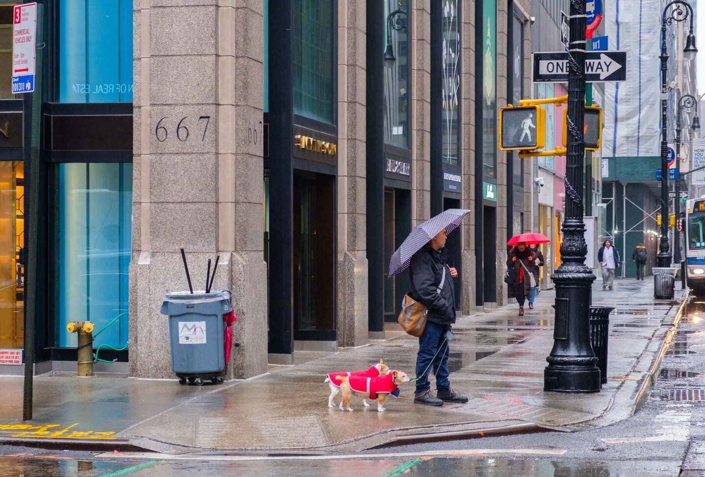 Red dogs

#nyc #newyork #manhattan #dogs #dog #streetphotography #newyorklovers #icapture\_nyc #streetshots #streetcapture #nyclives #streetsofnewyork #nycstreets #newyorkstreetphotography #streetsofnyc #igersofnyc #lovenyc #ig_nycity #newyorkstreetp