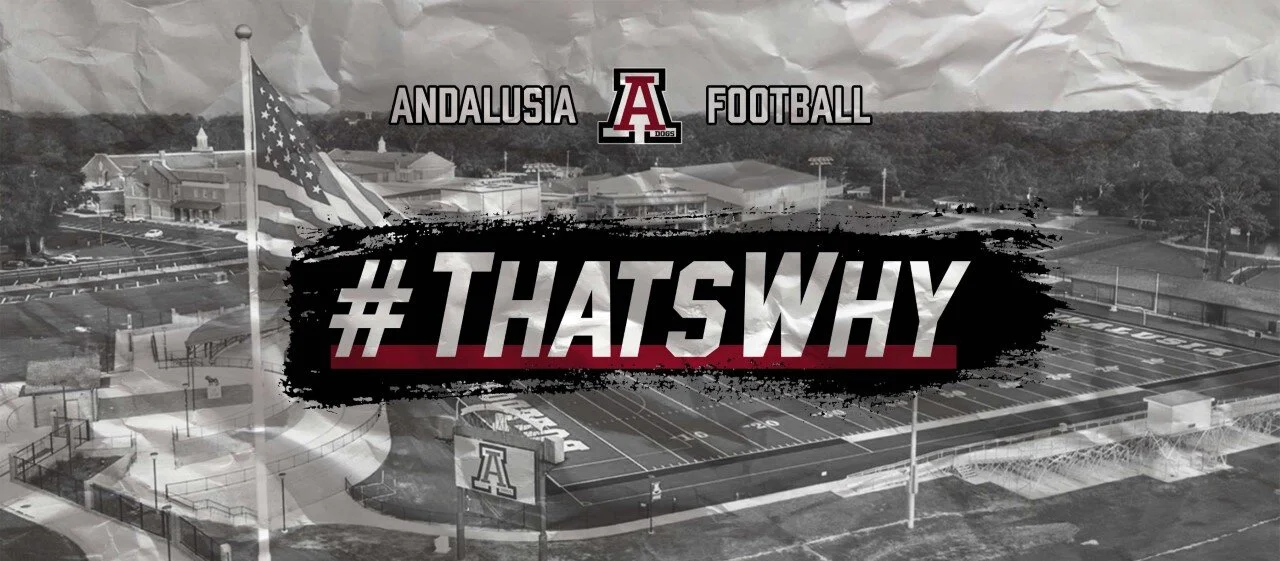 ANDALUSIA #THATSWHY GRAY GRAPHIC.jpg