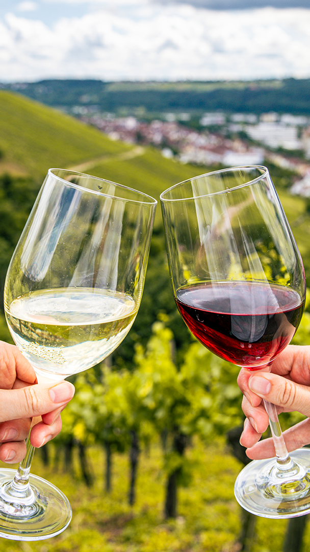 Wein.Wandern.Stuttgart. am 5. und 6. Juni 2027 