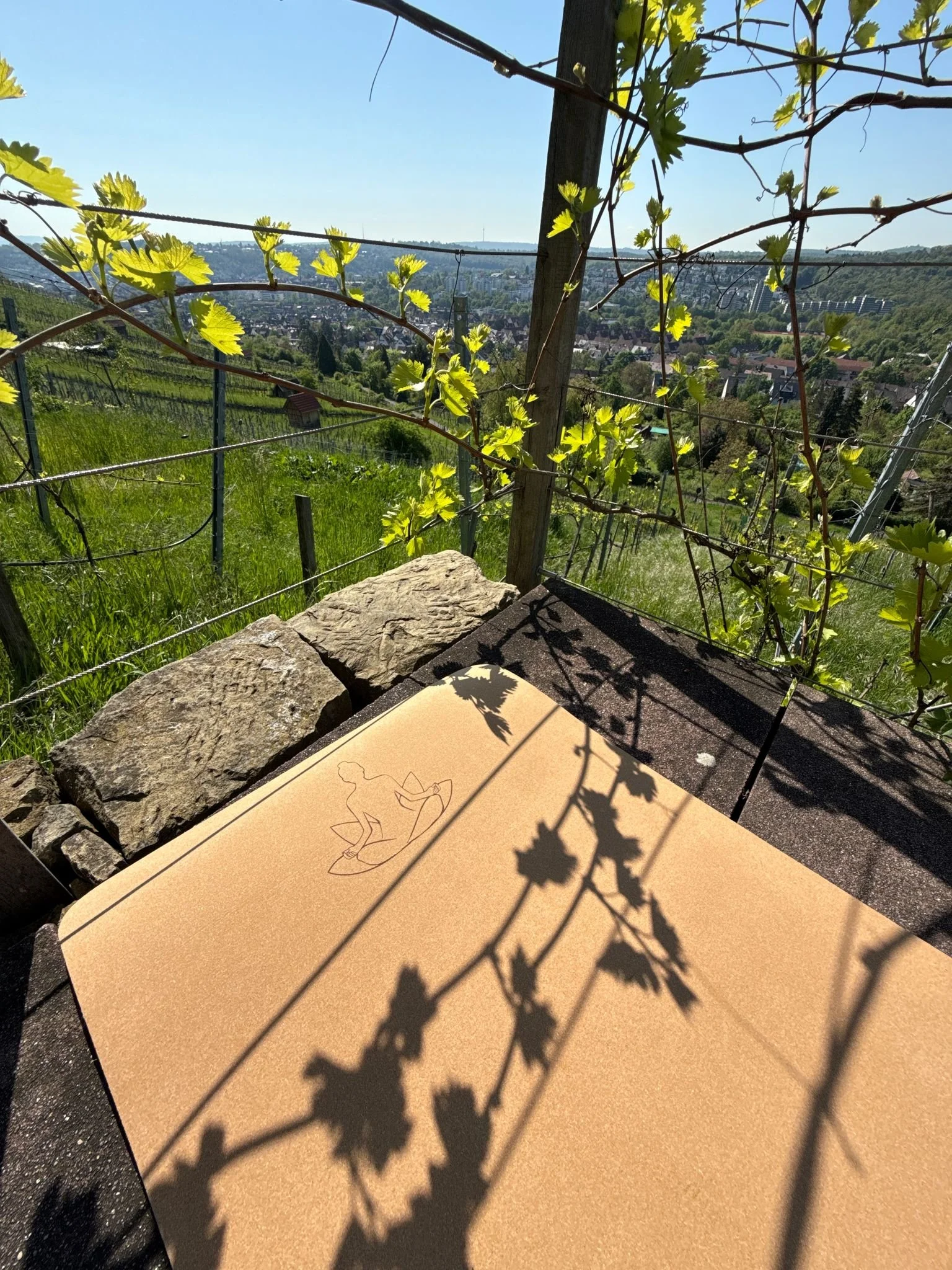 Yoga im Weinberg 1.jpg