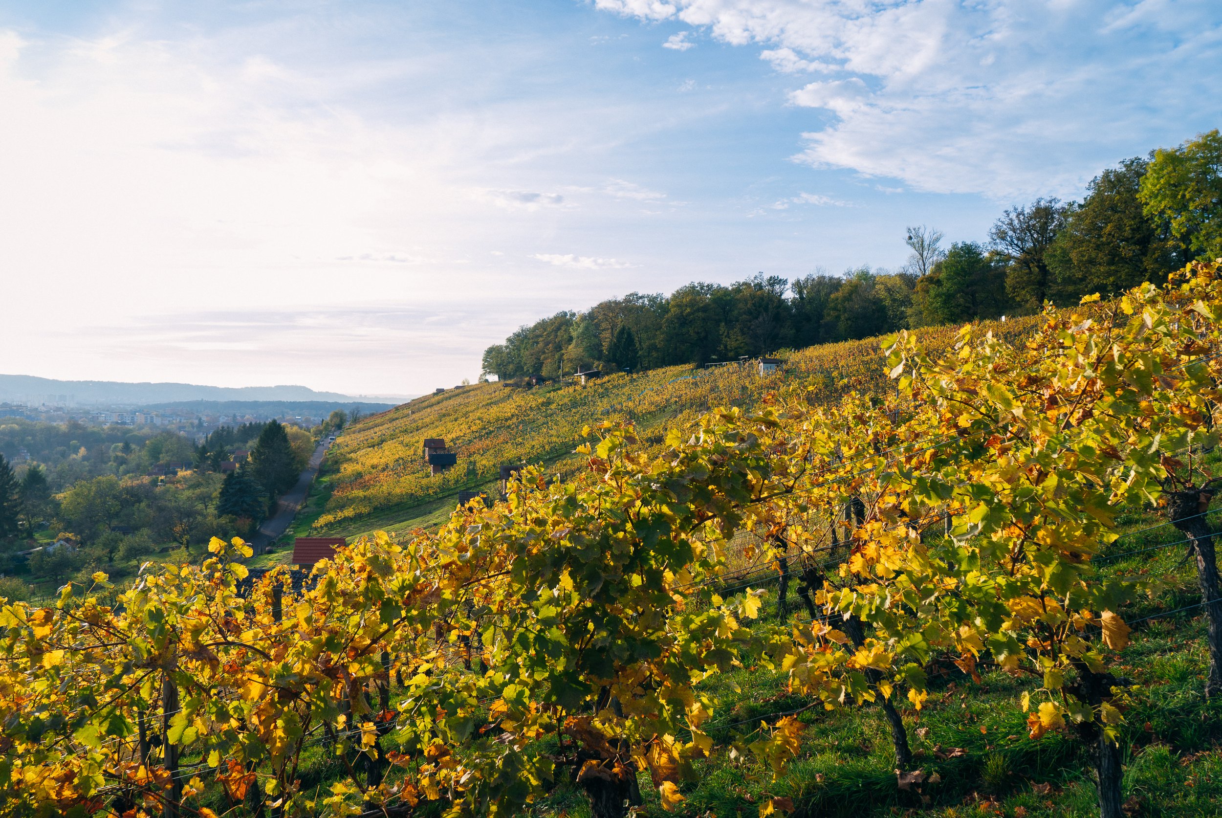 70469R_Herbstimpressionen_10.jpg
