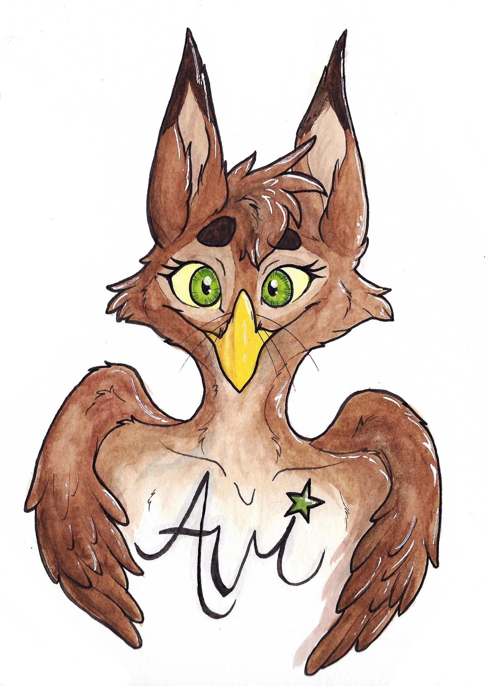 avi finished.jpg