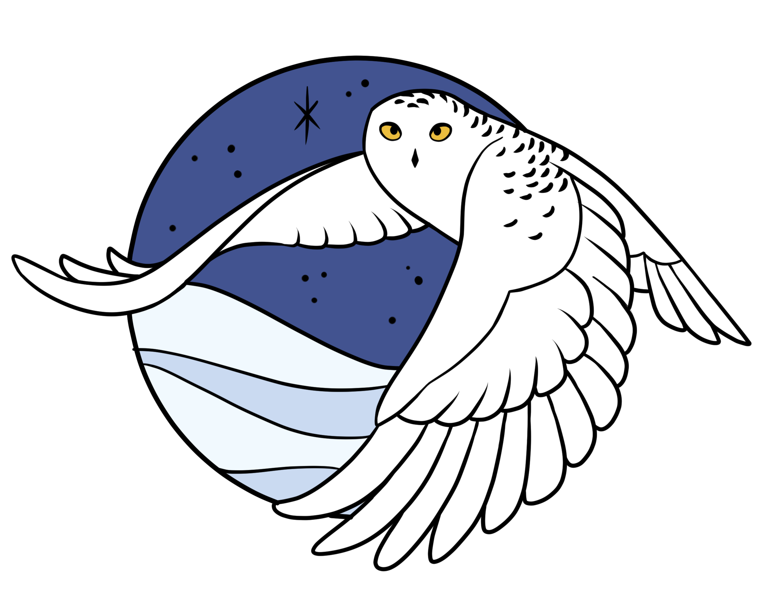 owl pin a.png