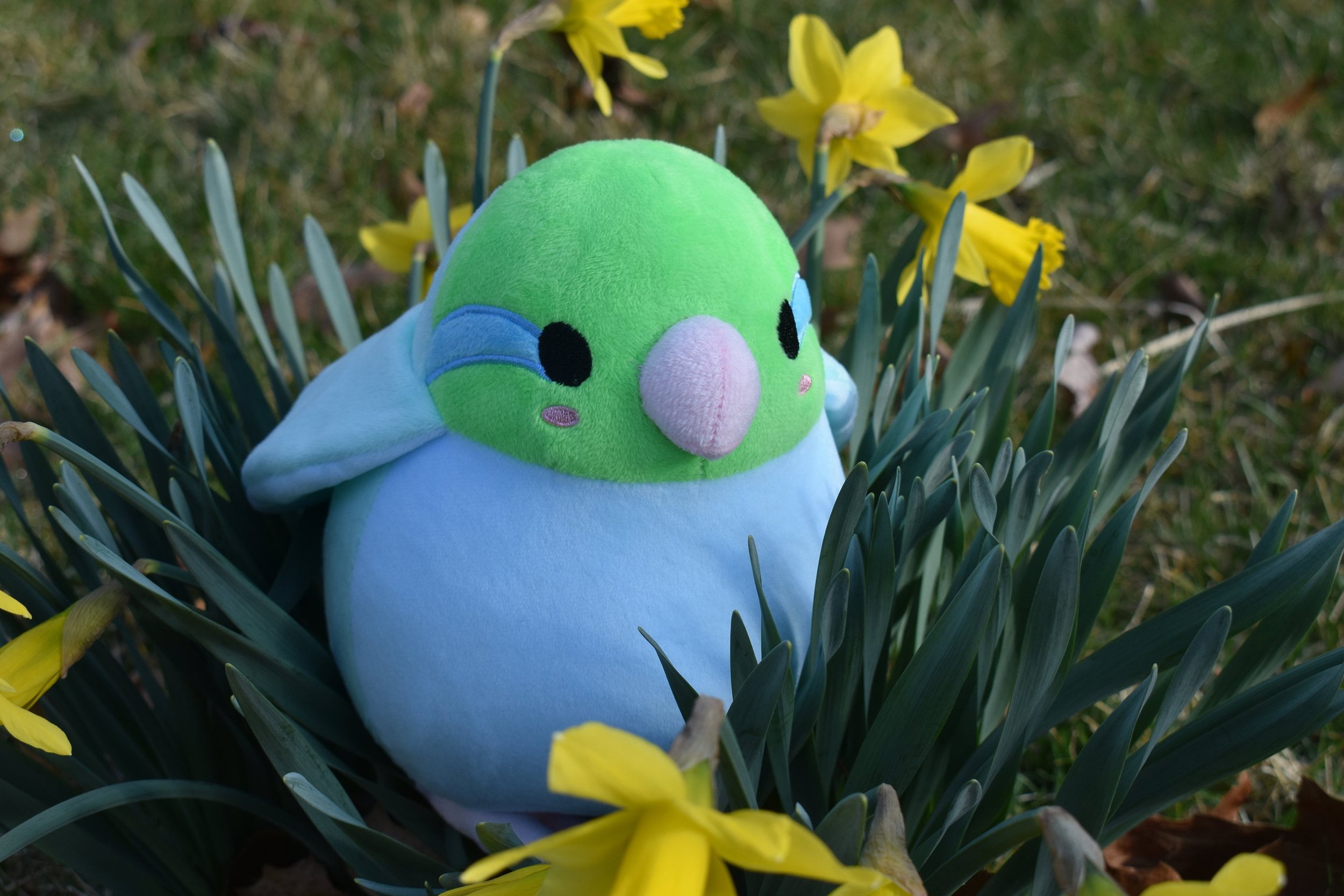 https://i.etsystatic.com/16502411/r/il/ea6d25/5492604716/il_fullxfull.5492604716_elzj.jpg