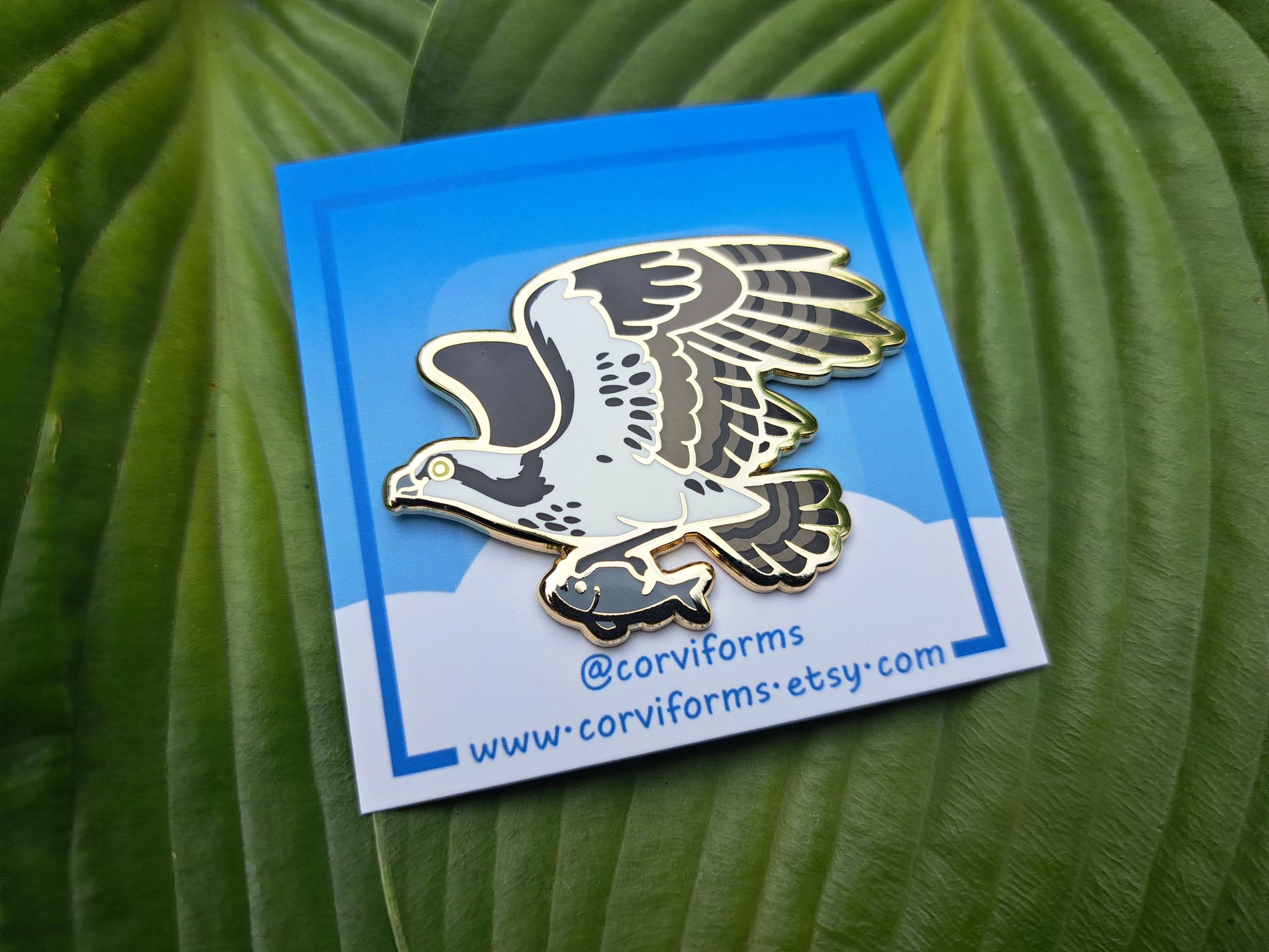 https://i.etsystatic.com/16502411/r/il/d6b257/6462534599/il_fullxfull.6462534599_b3mo.jpg