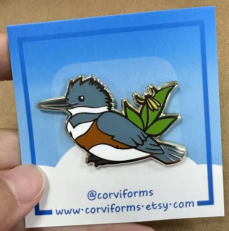 https://i.etsystatic.com/16502411/r/il/2578c7/6462527973/il_fullxfull.6462527973_9x8e.jpg