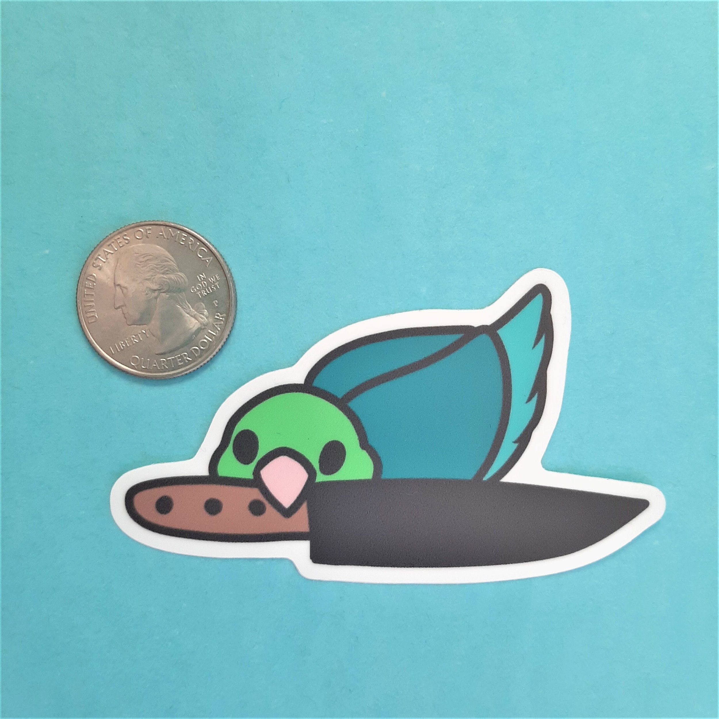 https://i.etsystatic.com/16502411/r/il/fbfce1/2899782877/il_fullxfull.2899782877_9vpt.jpg
