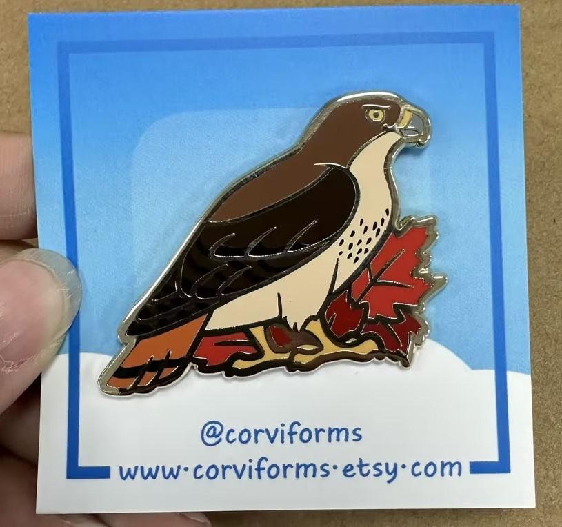 https://i.etsystatic.com/16502411/r/il/2dcff7/6462536775/il_fullxfull.6462536775_1jem.jpg