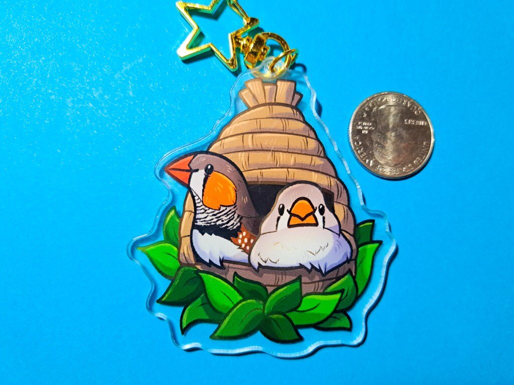 https://i.etsystatic.com/16502411/r/il/c5e42f/5016002382/il_fullxfull.5016002382_rt8a.jpg