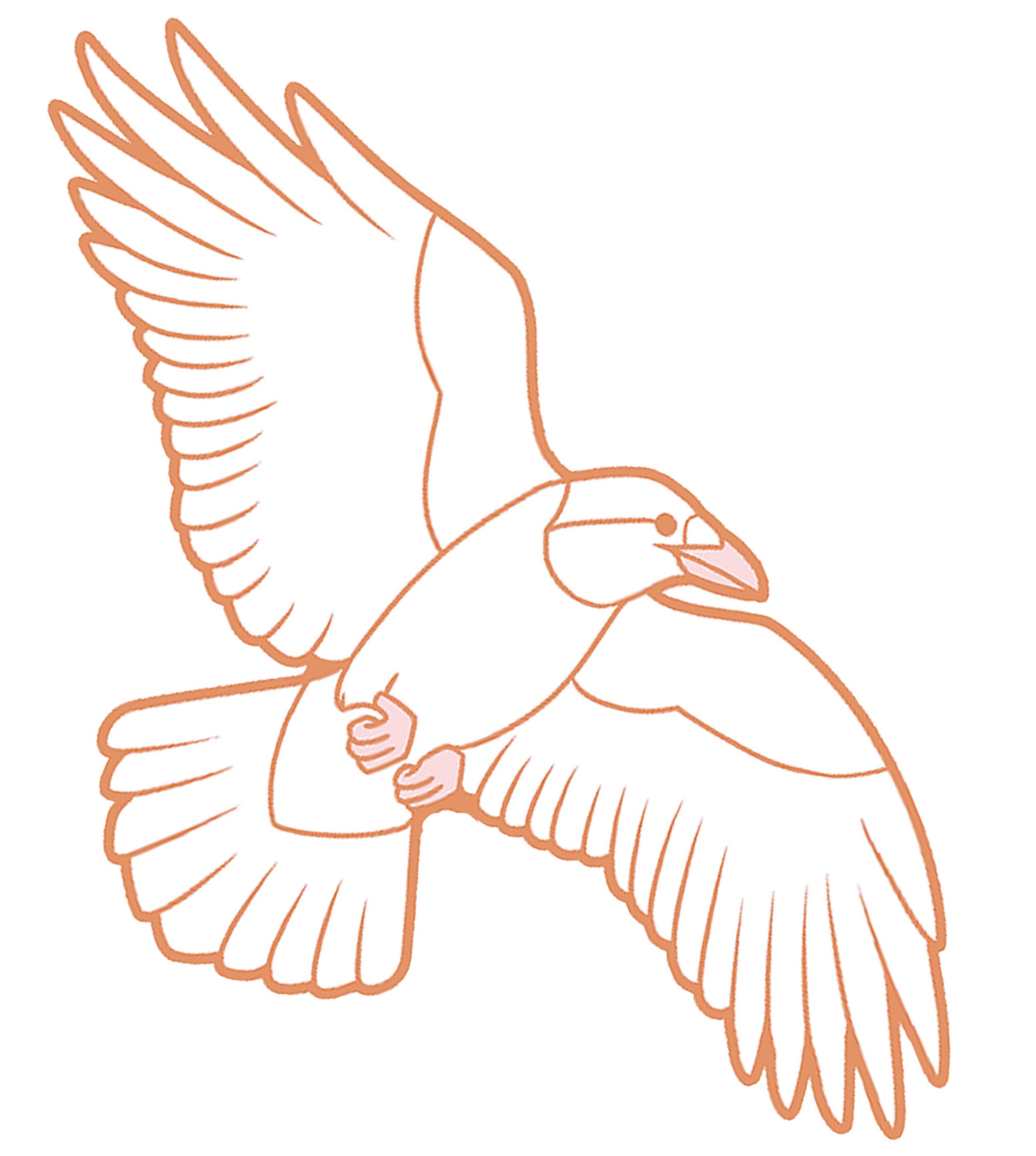 https://i.etsystatic.com/16502411/r/il/a9587c/3097744905/il_fullxfull.3097744905_dbnk.jpg