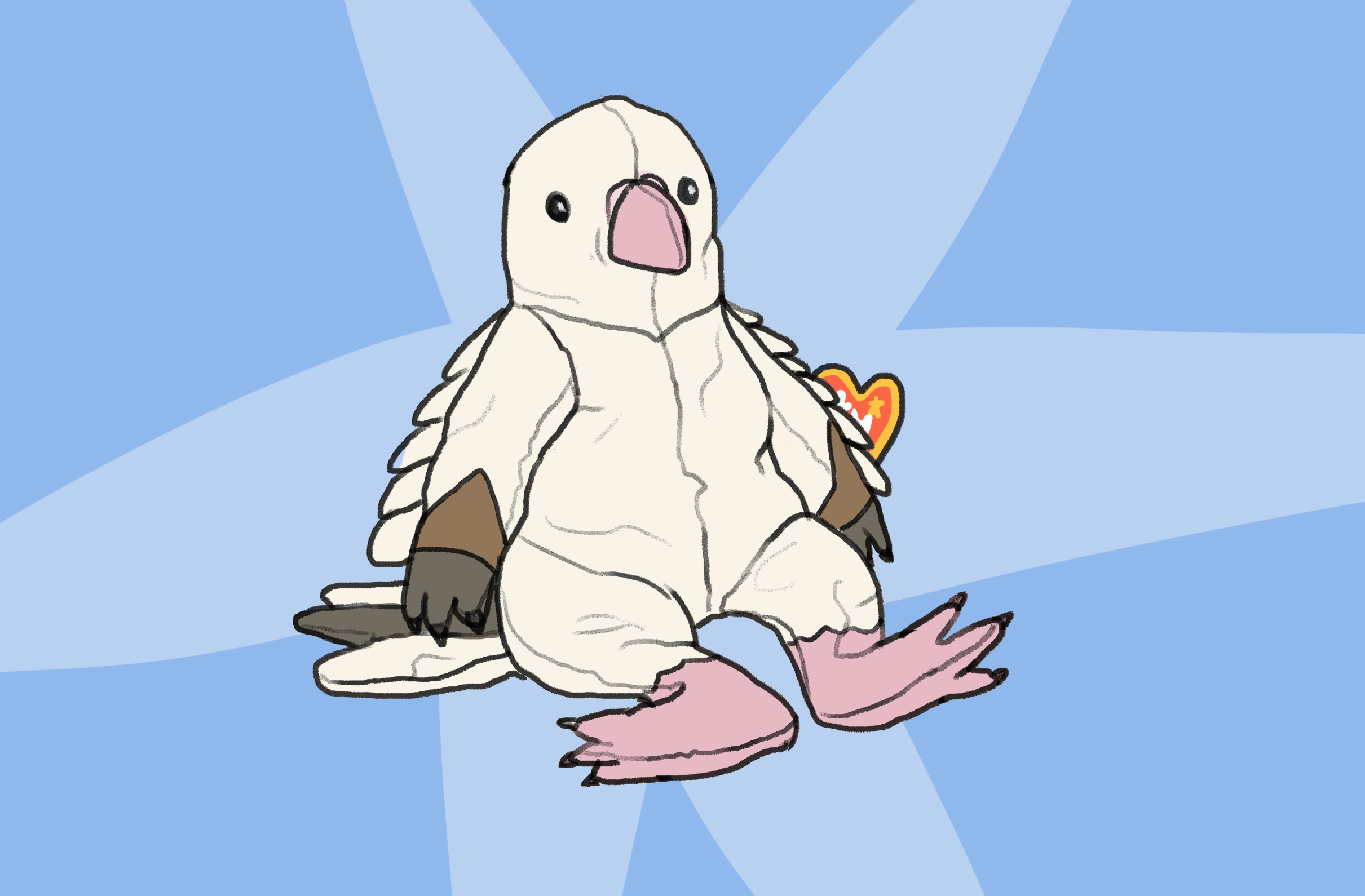 7 06 bean.png